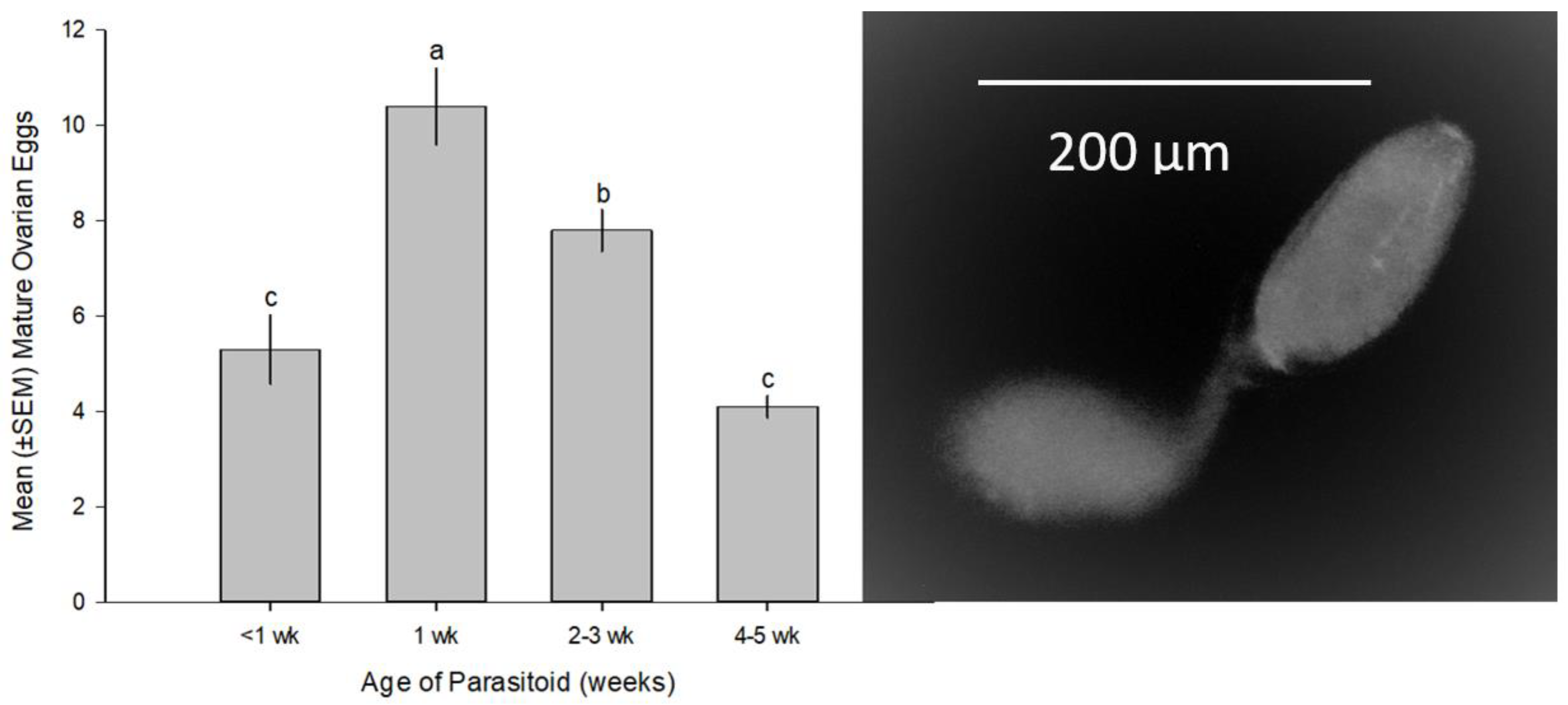 Insects 14 00793 g004