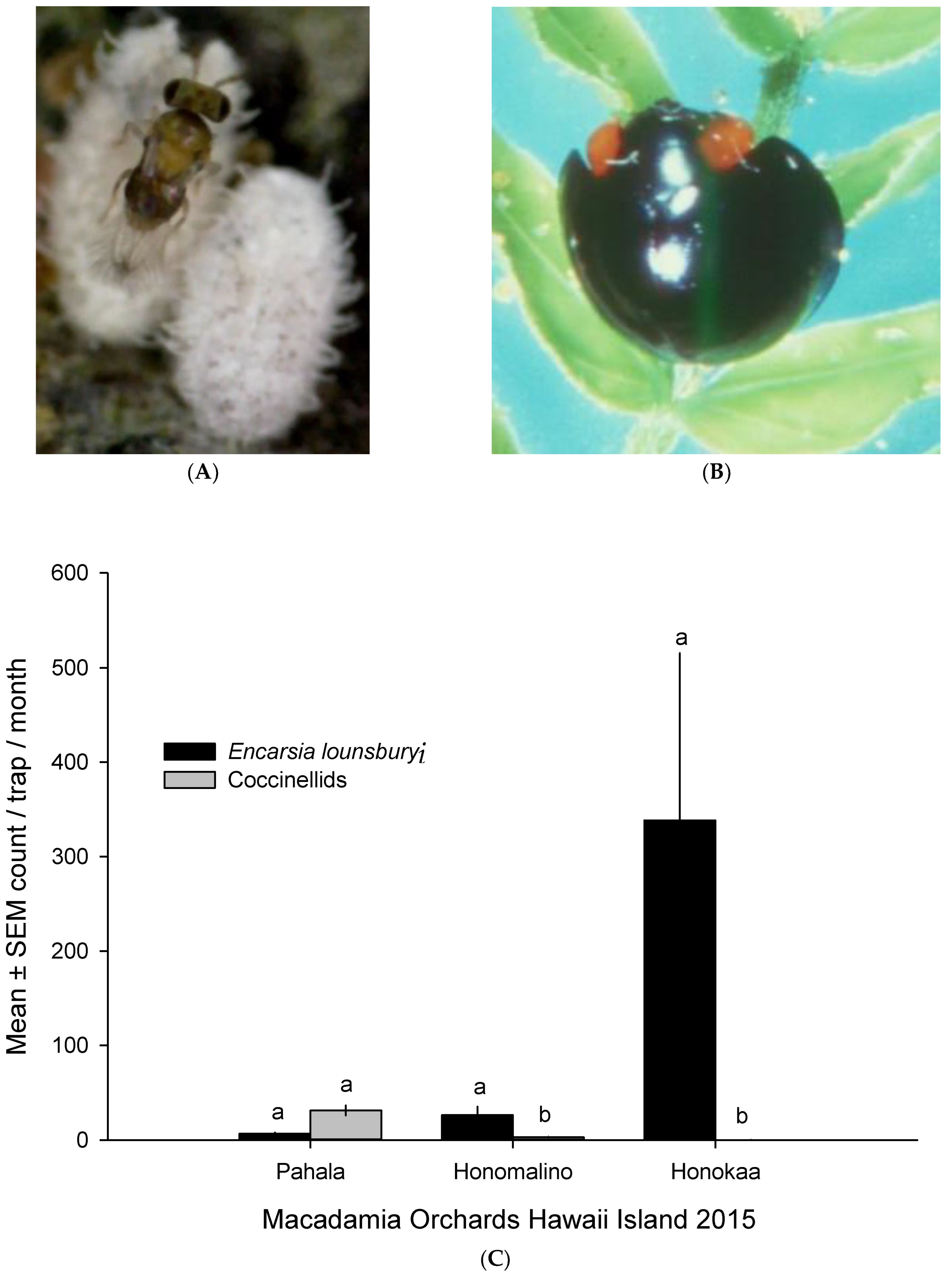 Insects 14 00793 g006