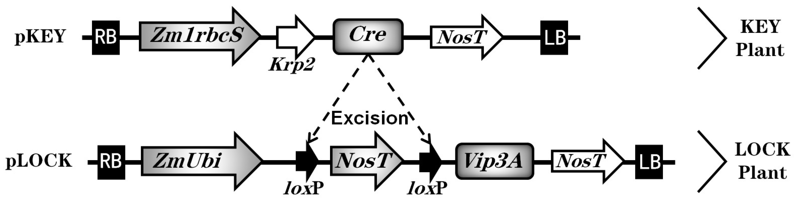 Insects 14 00803 g001