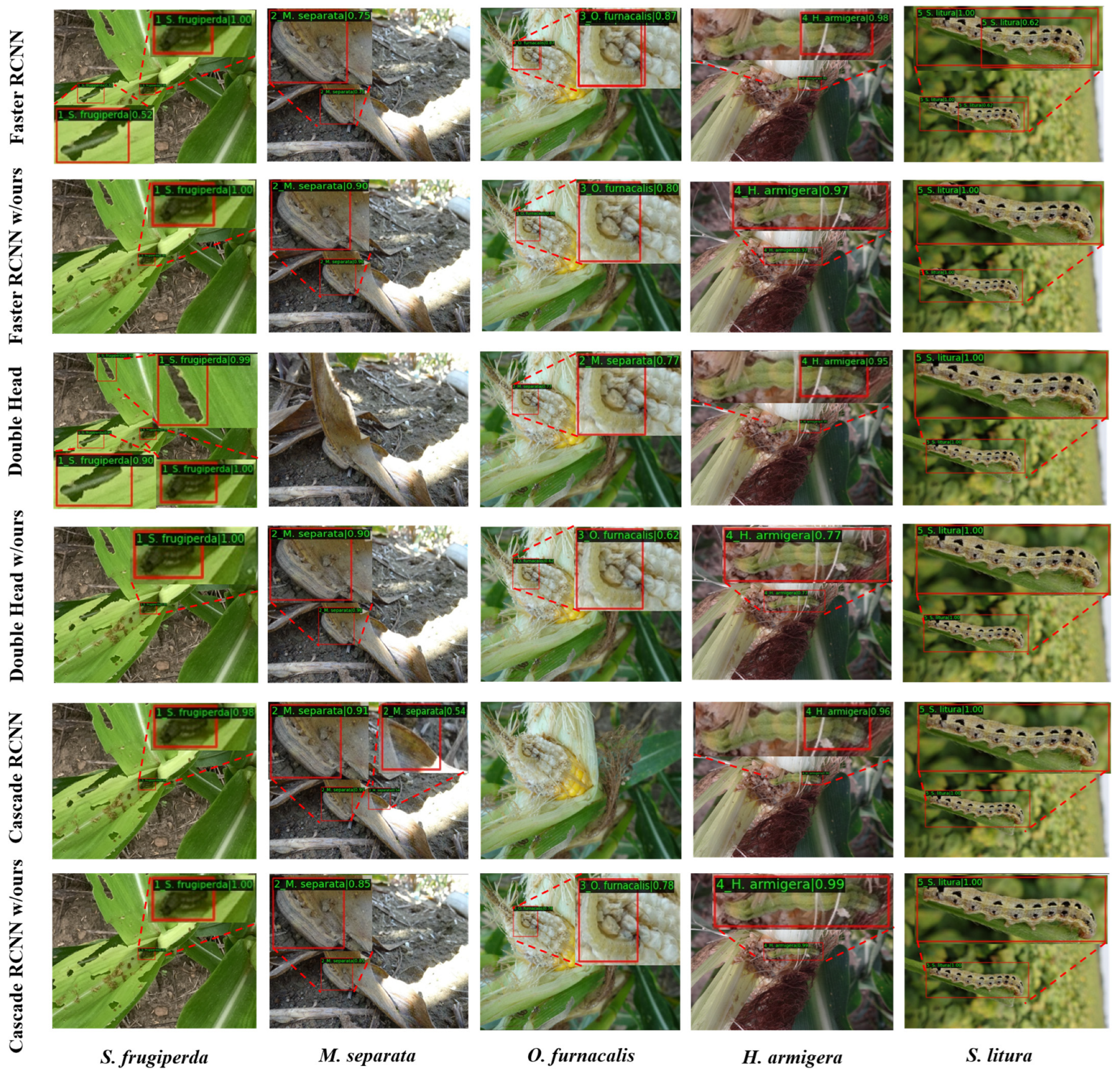 Insects 14 00819 g010