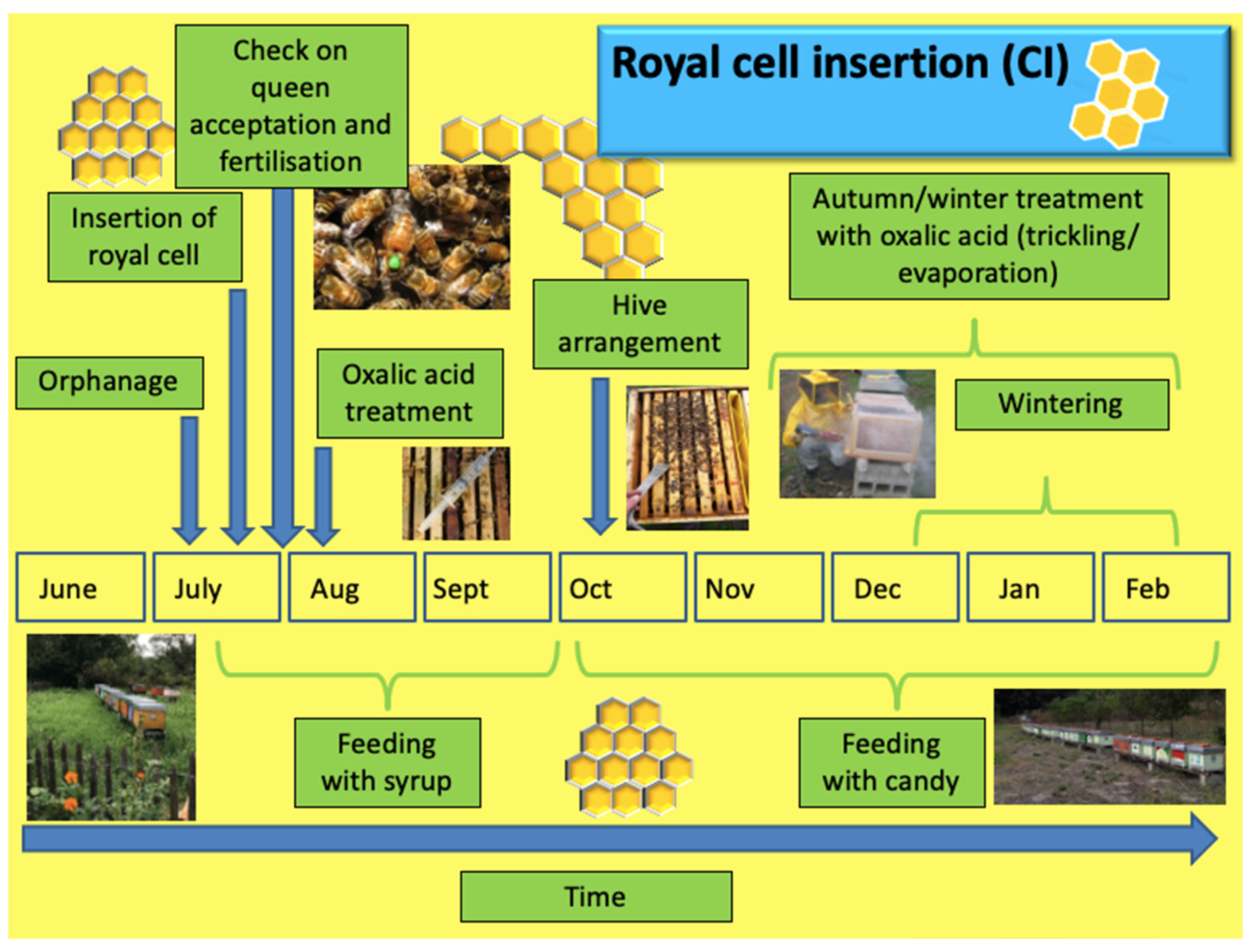 Insects 14 00830 g005
