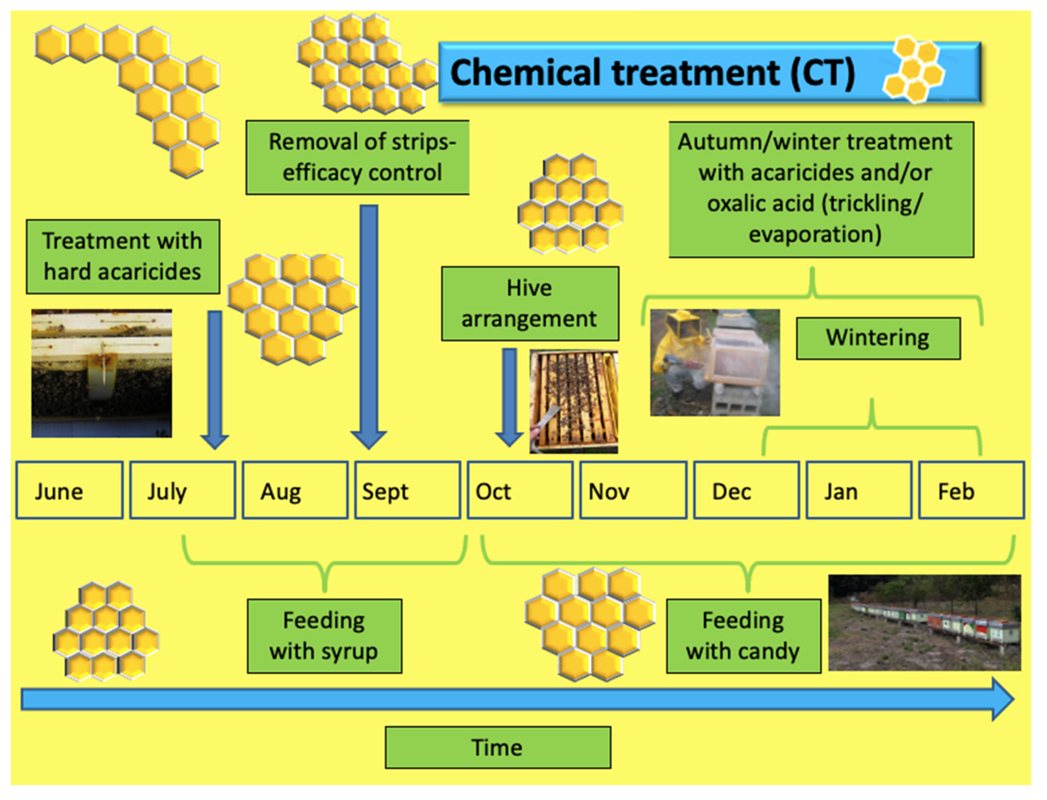 Interview with a Beekeeper — Botanical Formulations