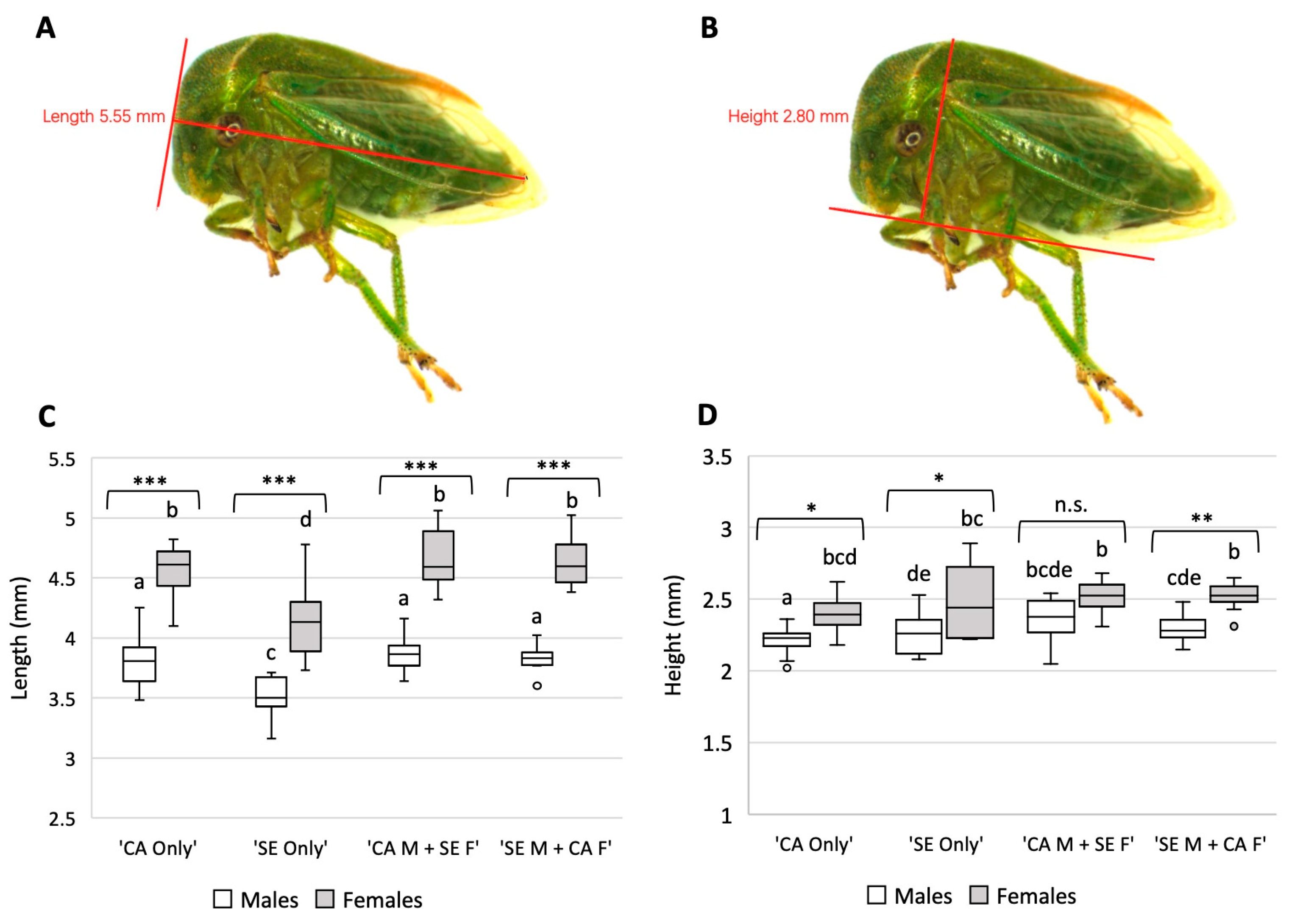 Insects 14 00831 g003
