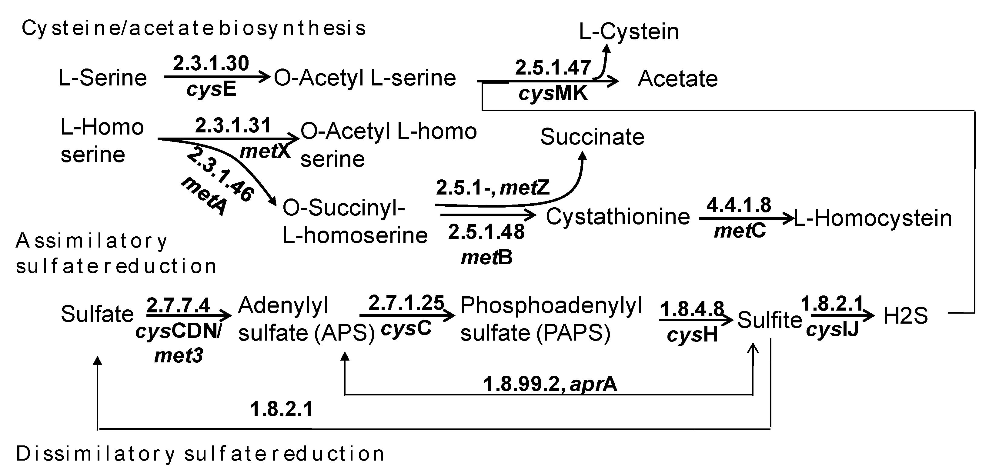 Insects 14 00832 g005