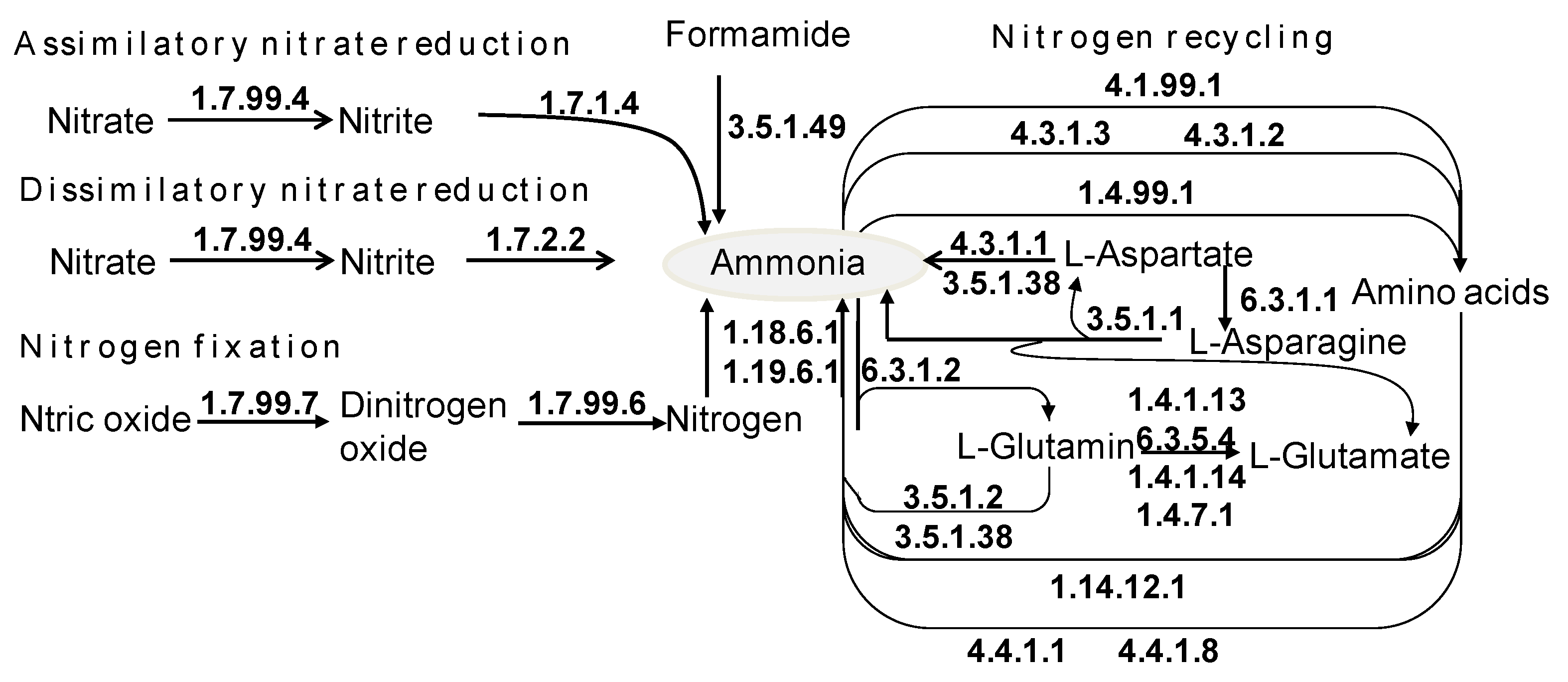 Insects 14 00832 g006