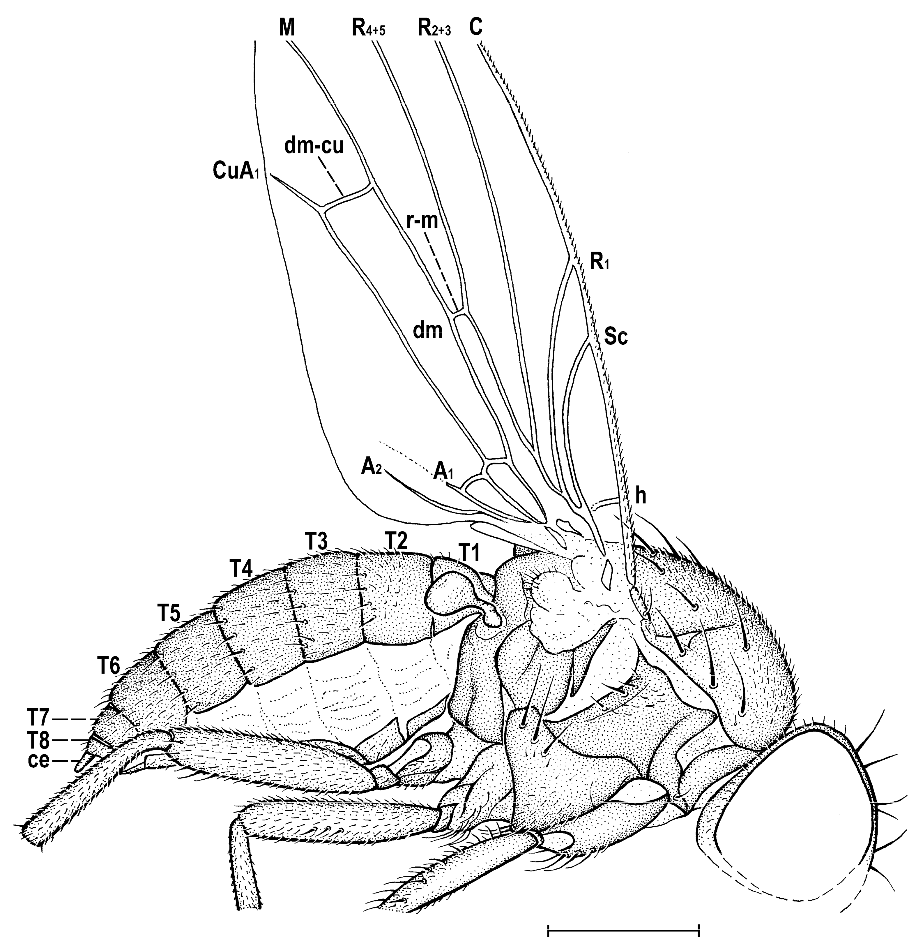 Insects 14 00835 g005