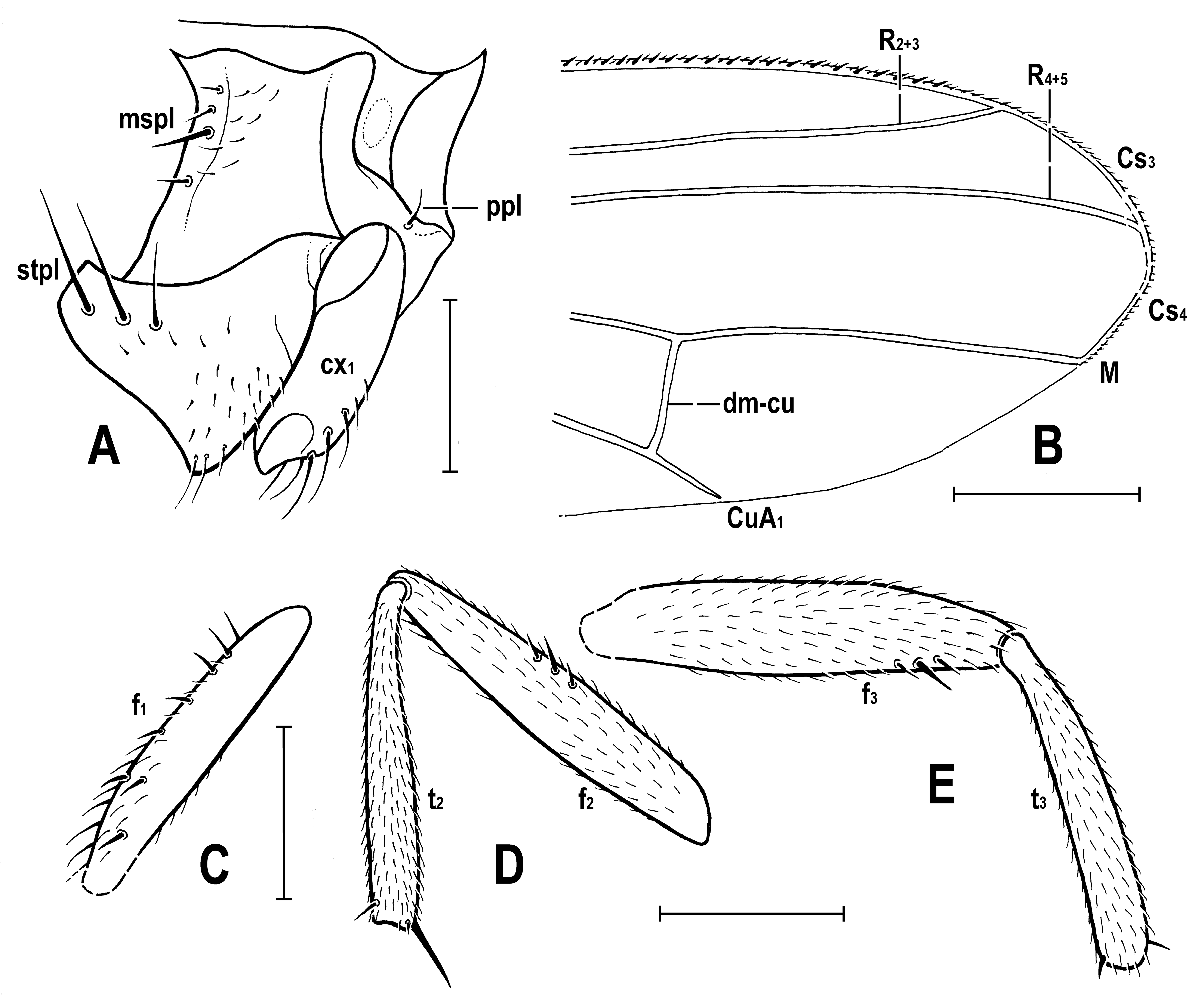Insects 14 00835 g006