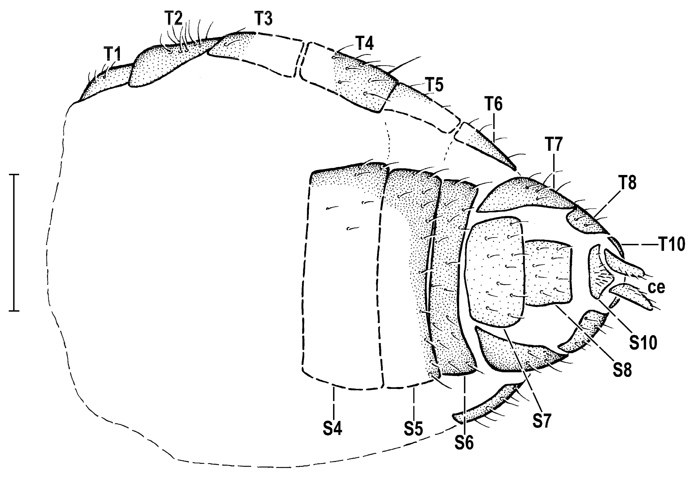 Insects 14 00835 g008