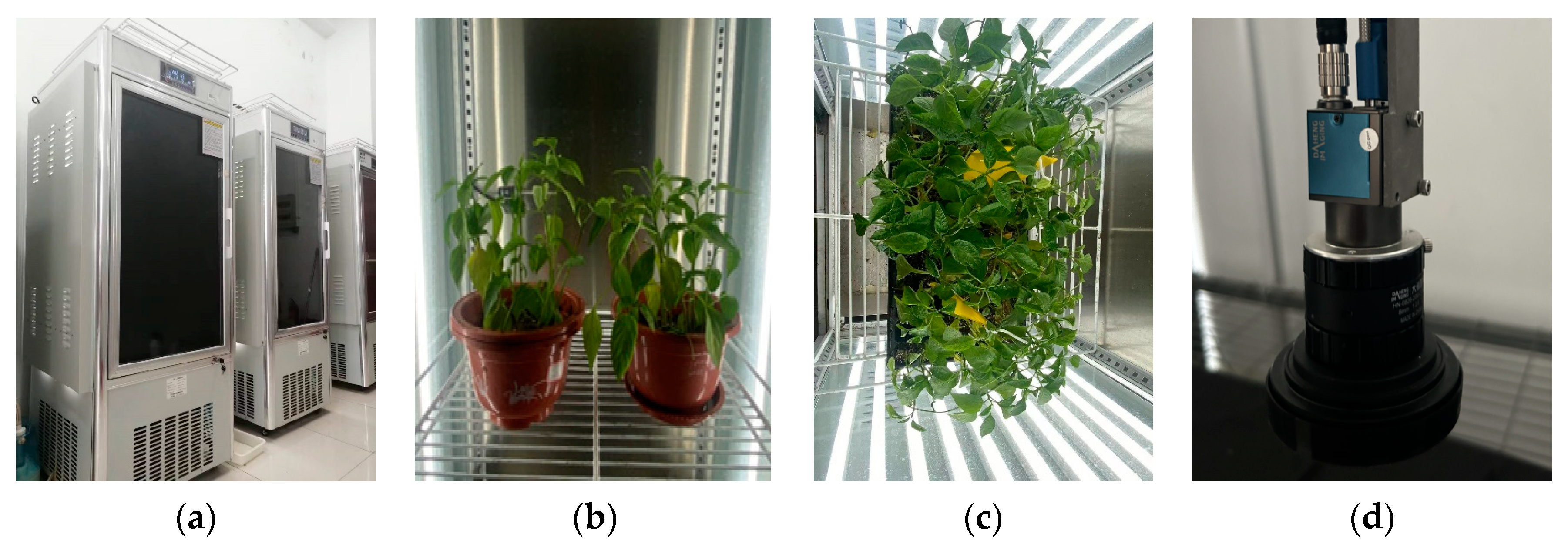 Insects 14 00839 g001