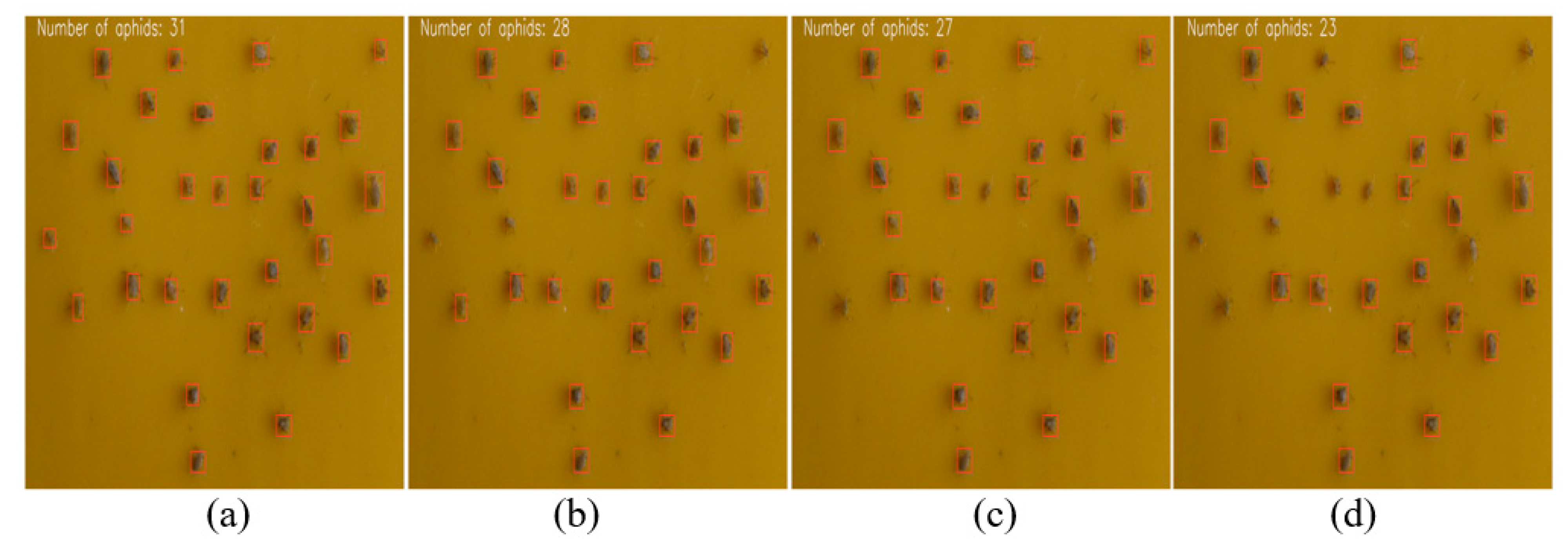 Insects 14 00839 g012