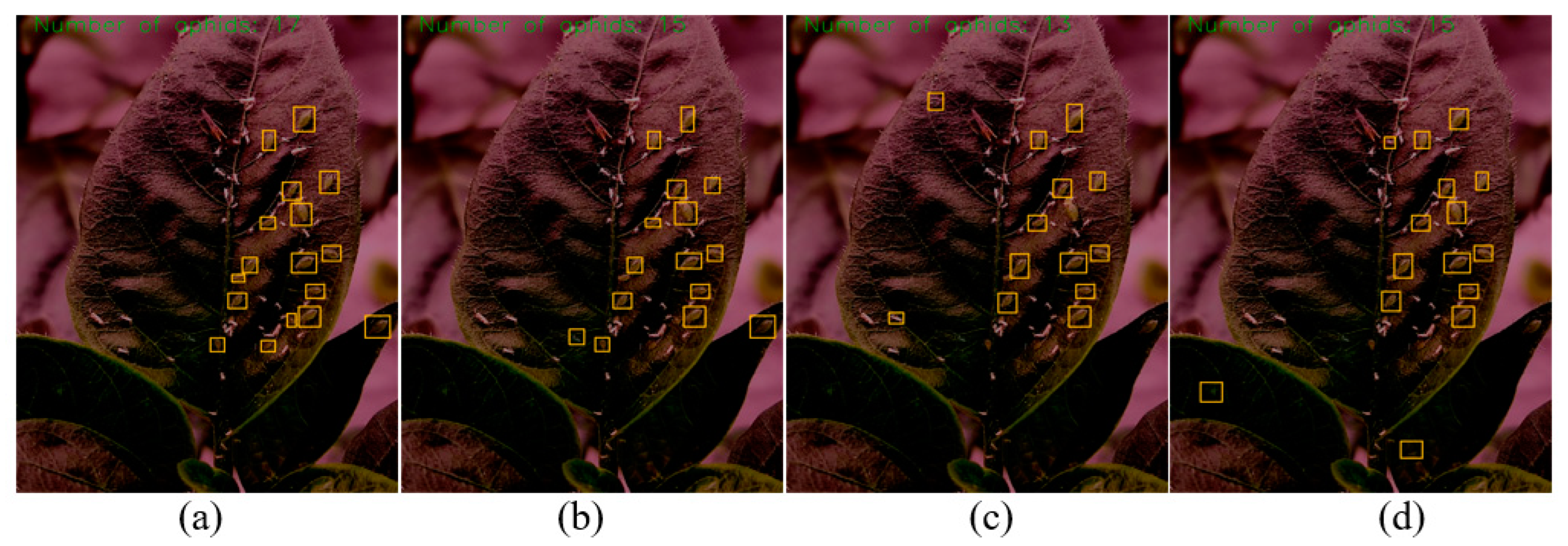 Insects 14 00839 g013