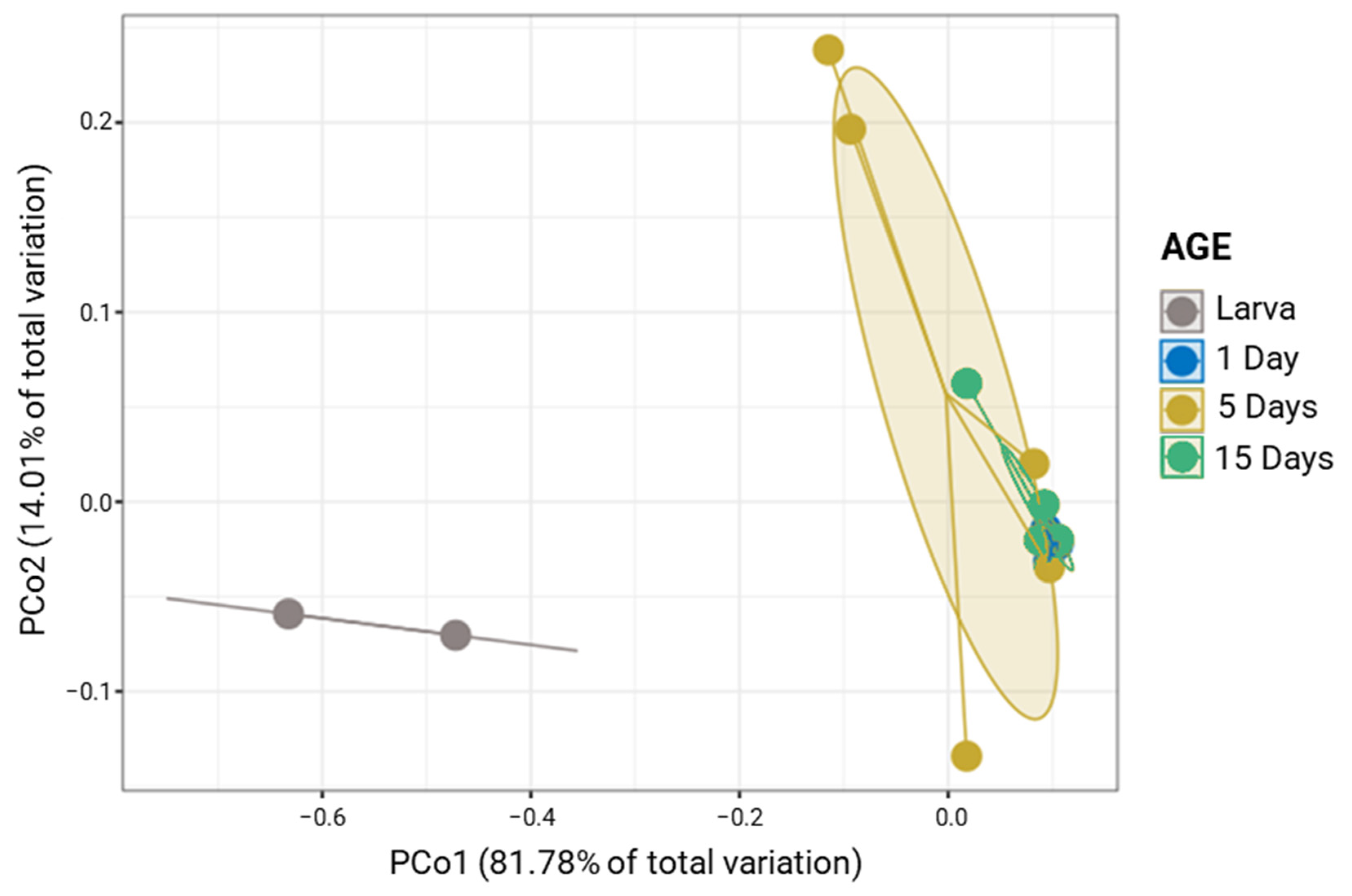 Insects 14 00840 g001