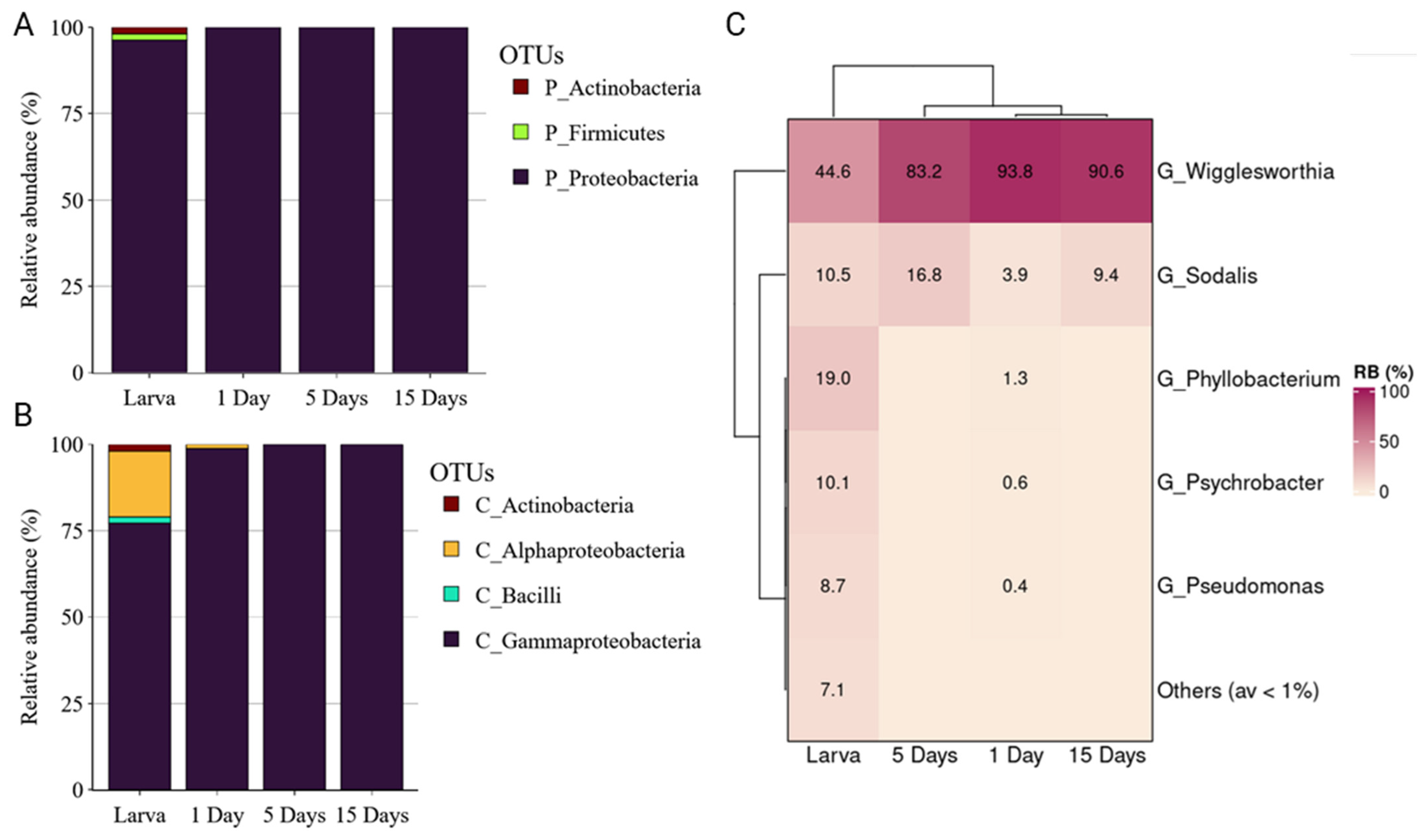 Insects 14 00840 g004