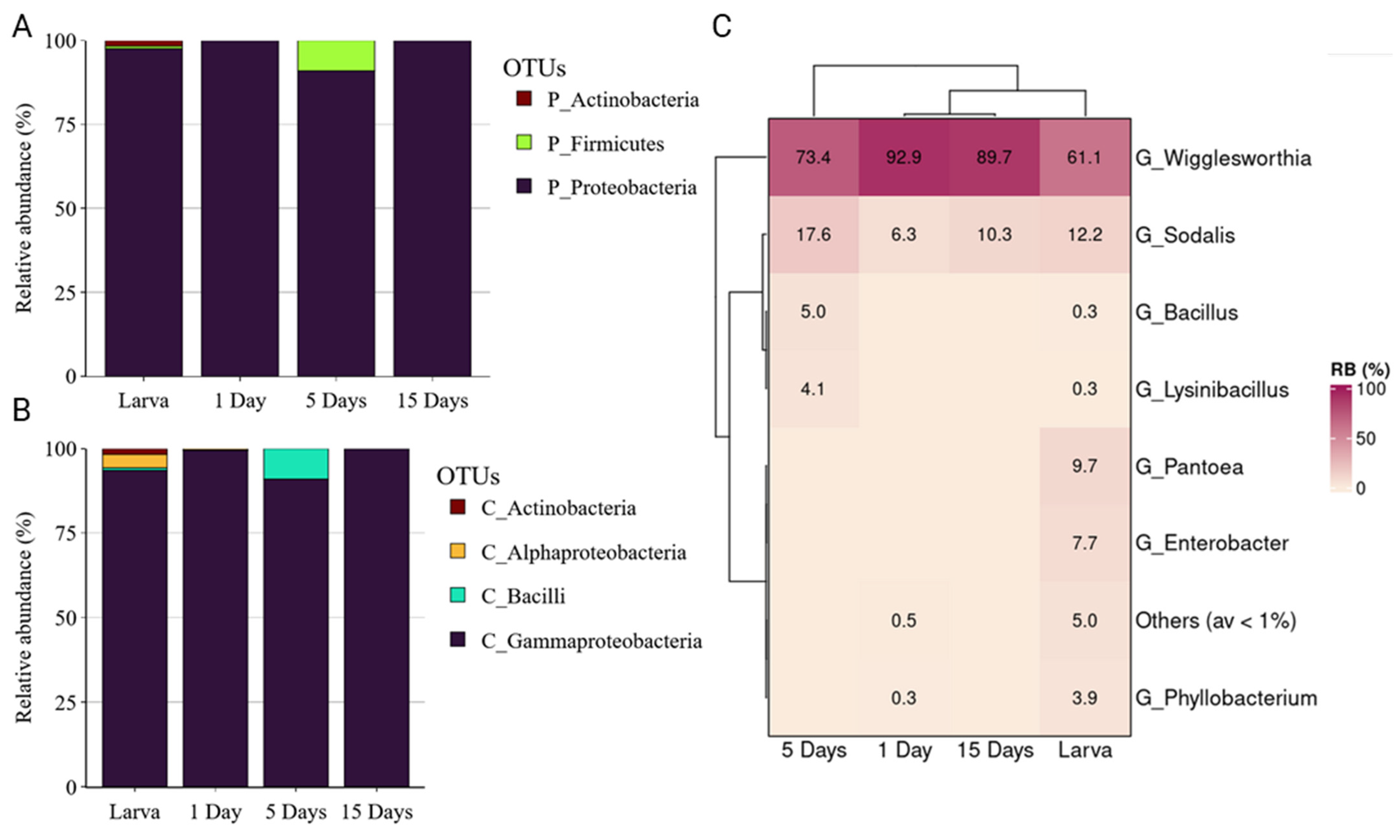 Insects 14 00840 g006
