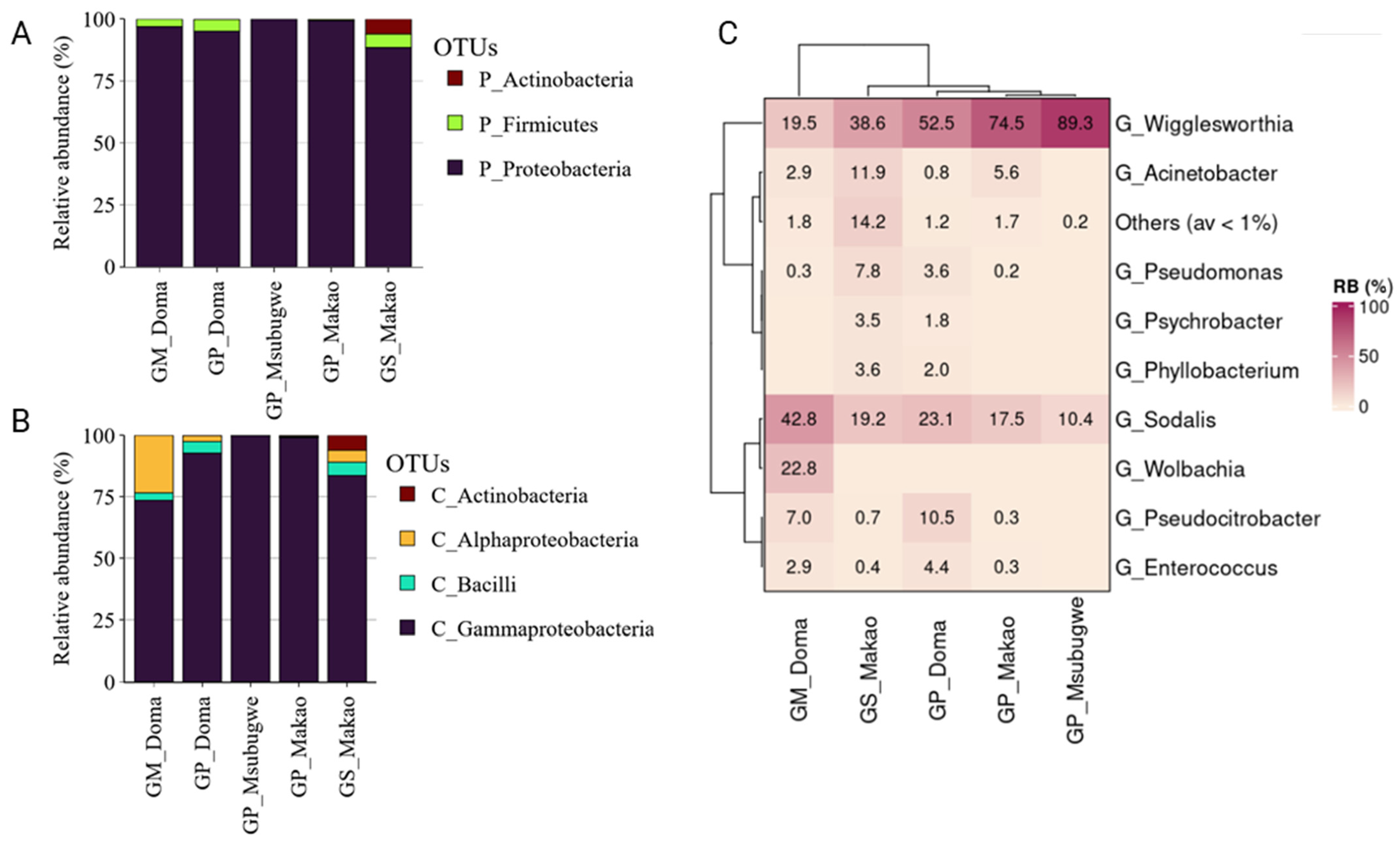 Insects 14 00840 g009