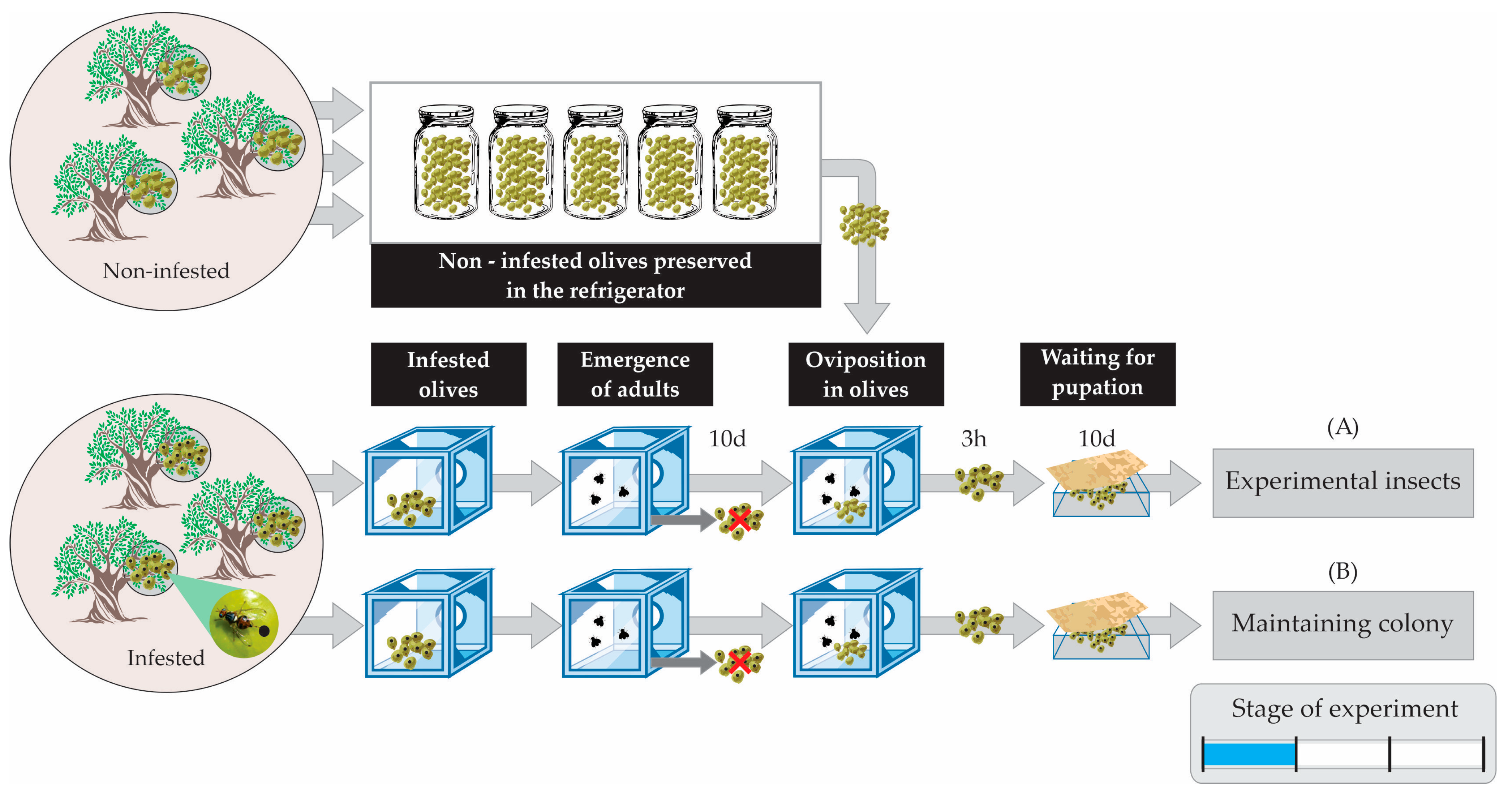 Insects 14 00841 g003