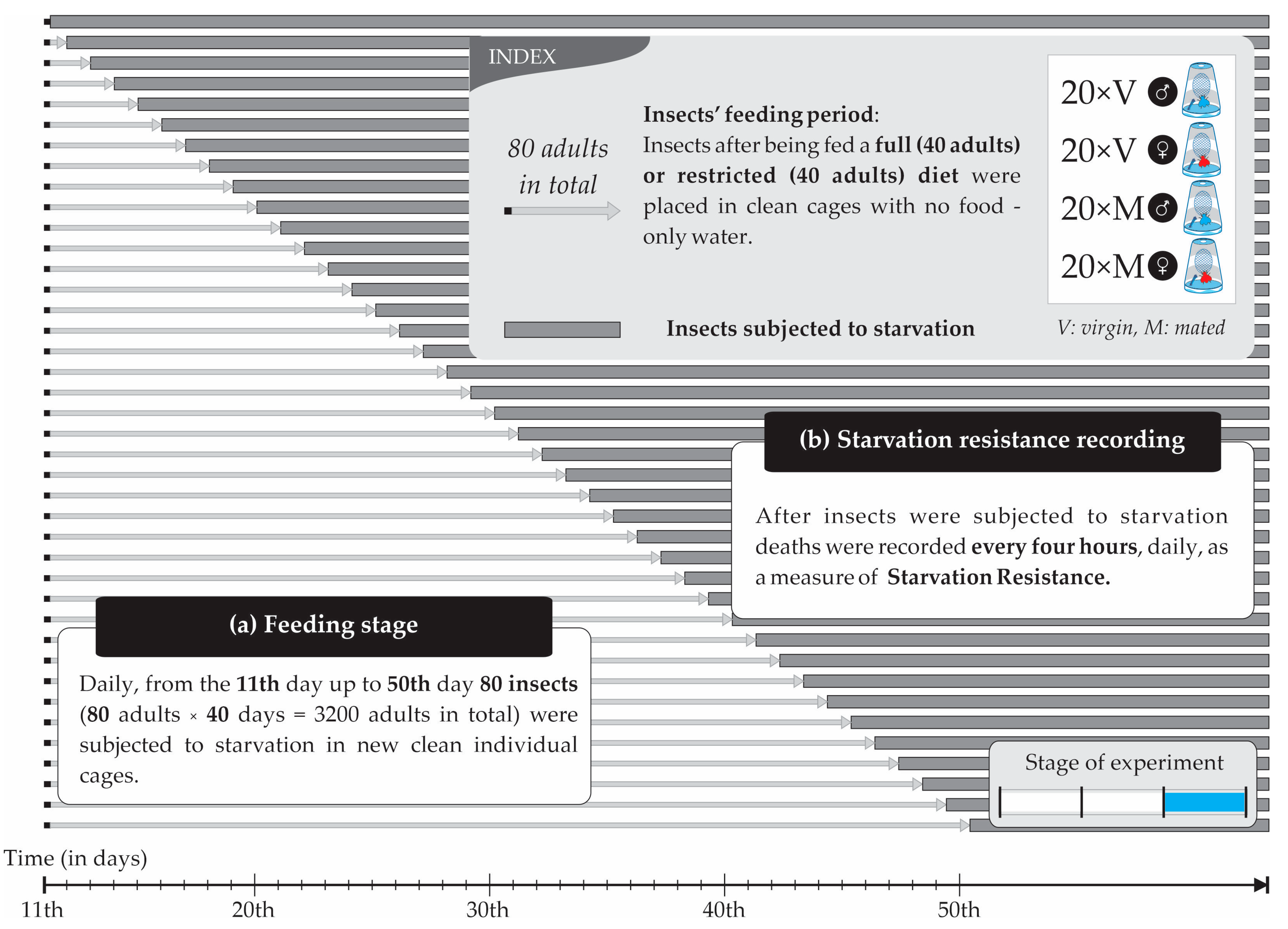 Insects 14 00841 g005