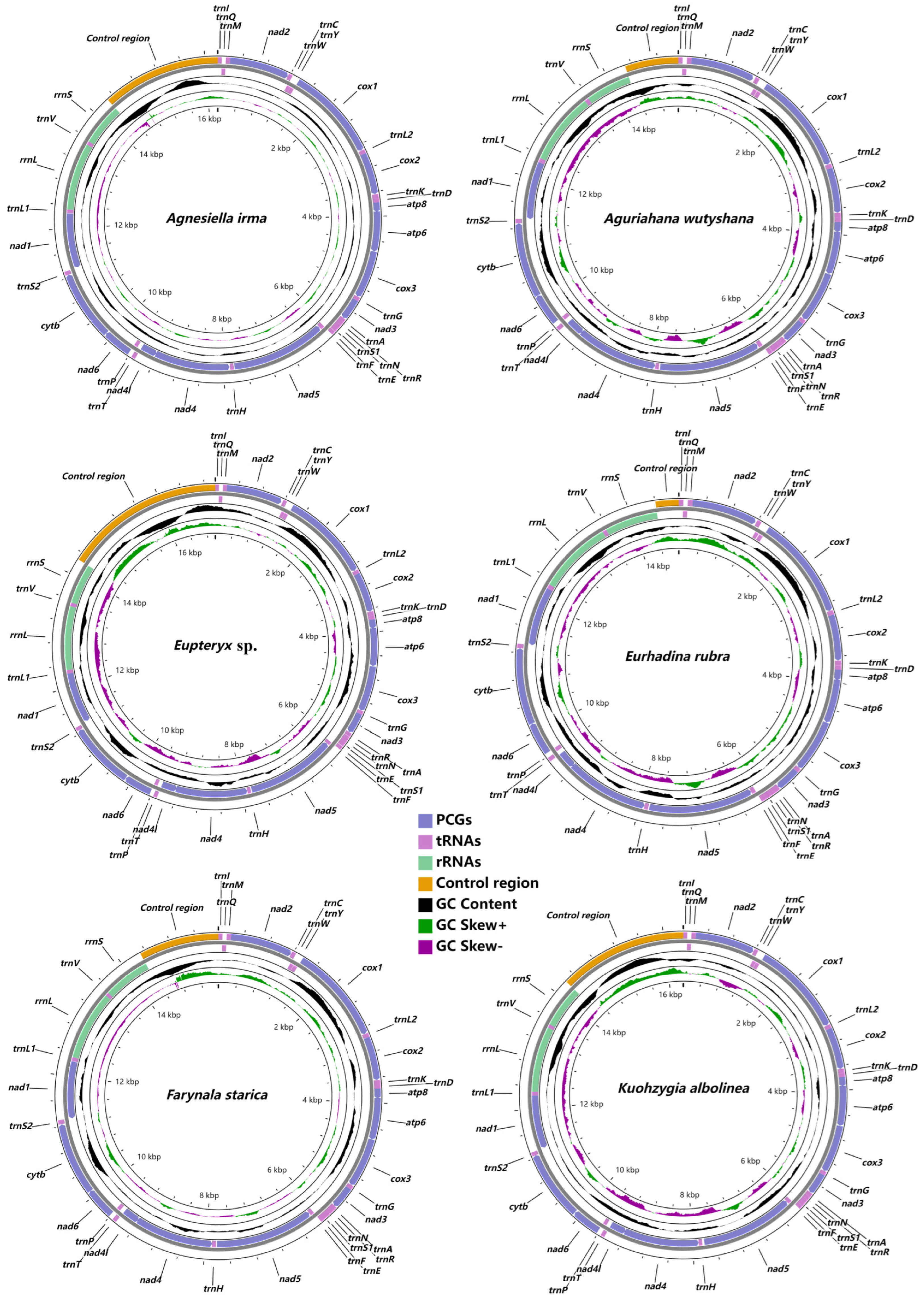 Insects 14 00842 g001