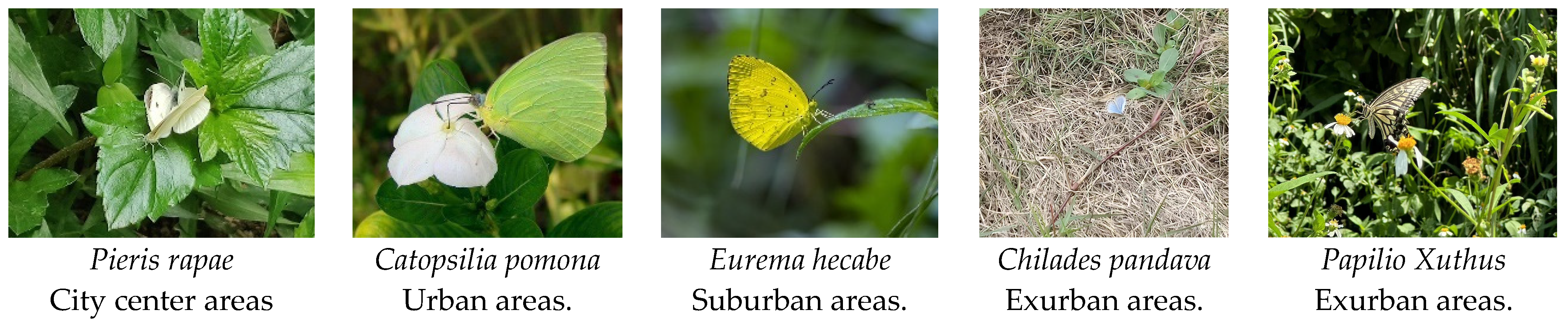 Insects 14 00851 g011