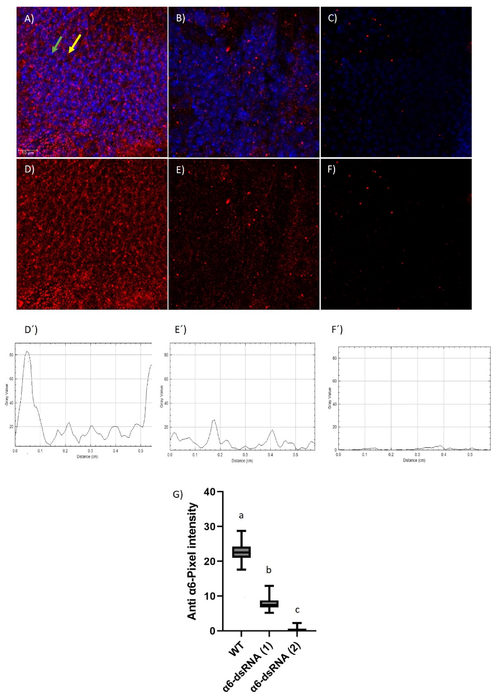 Insects 14 00857 g001