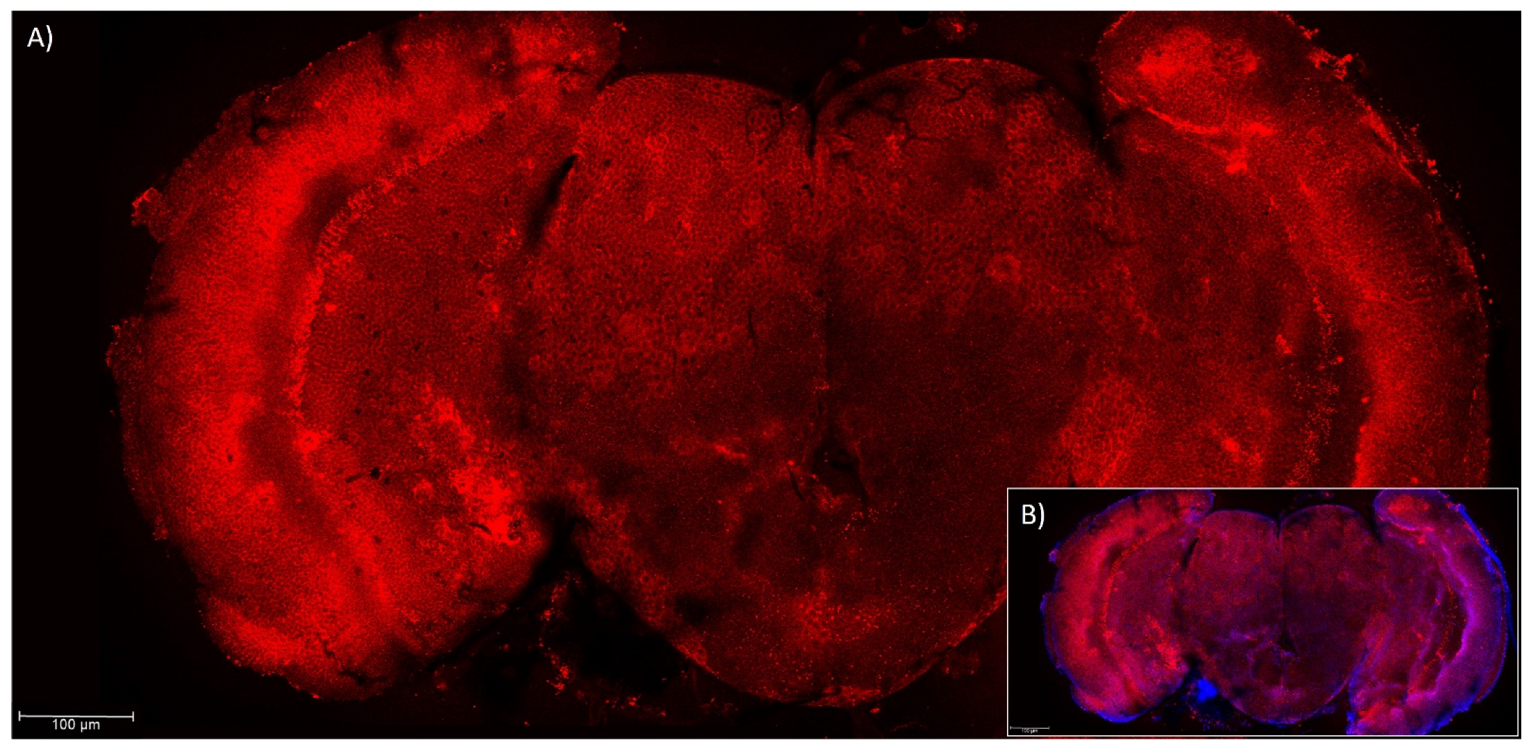 Insects 14 00857 g002