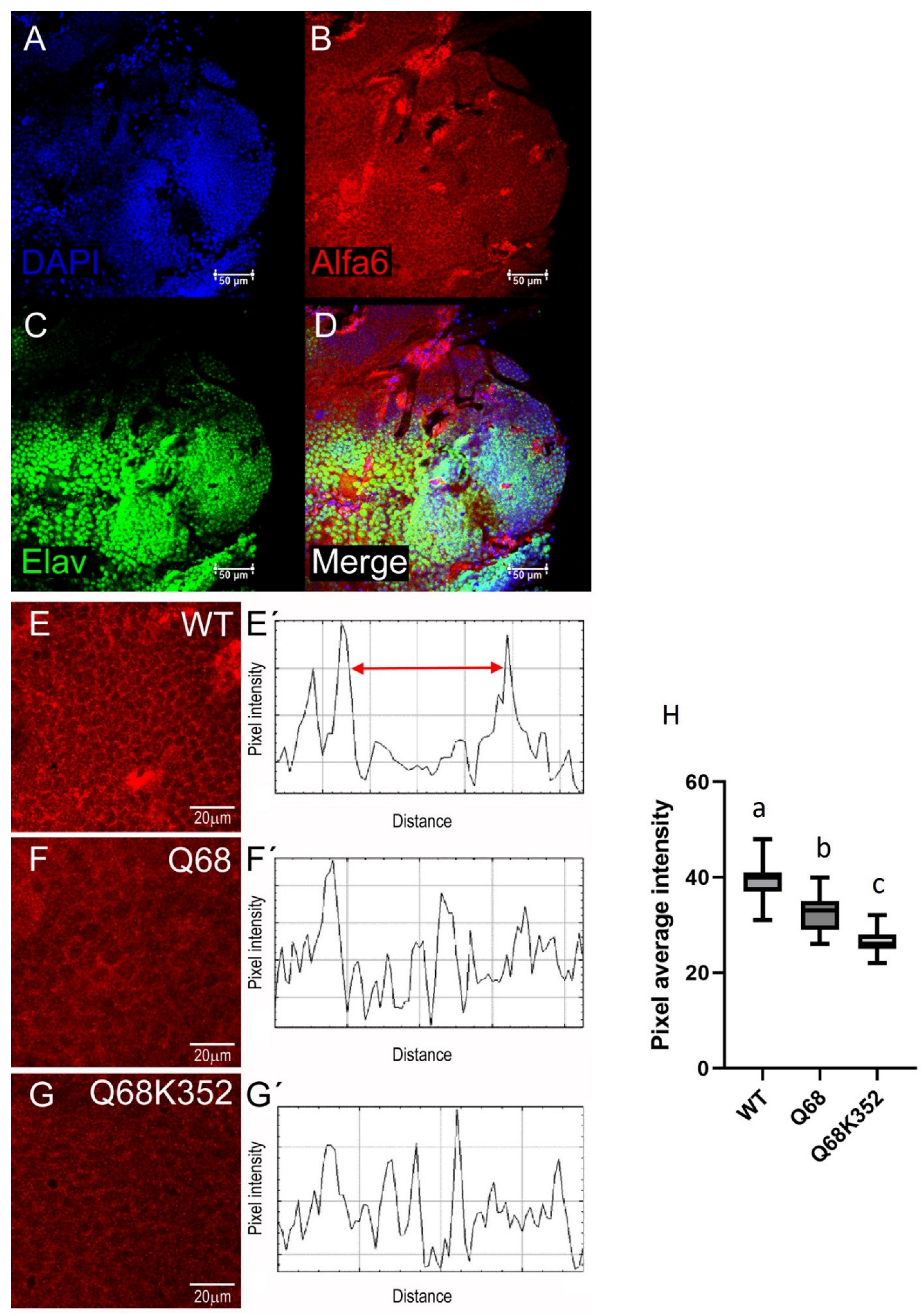 Insects 14 00857 g003