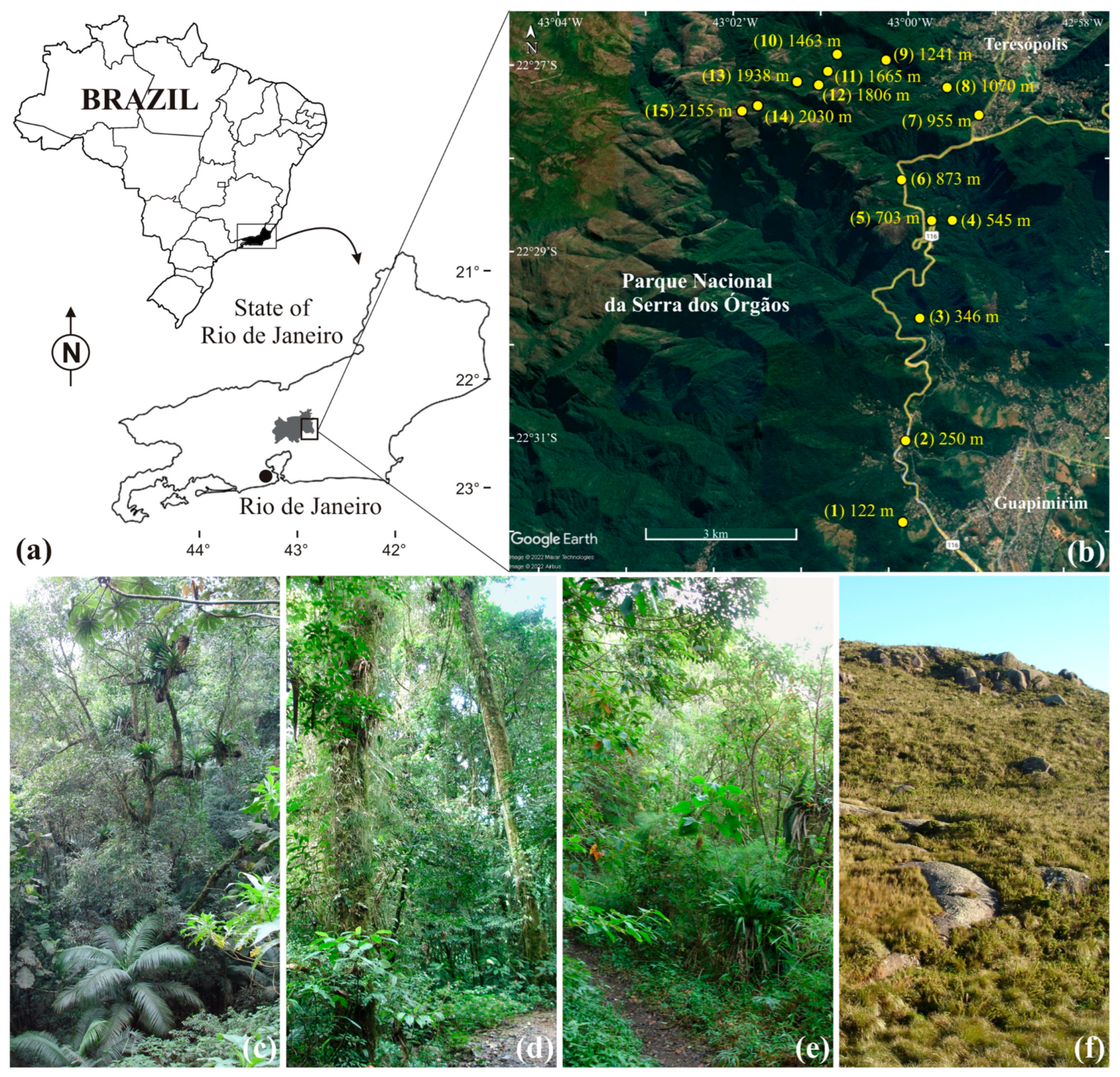 Insects 14 00861 g001 Insects 14 00861 g001