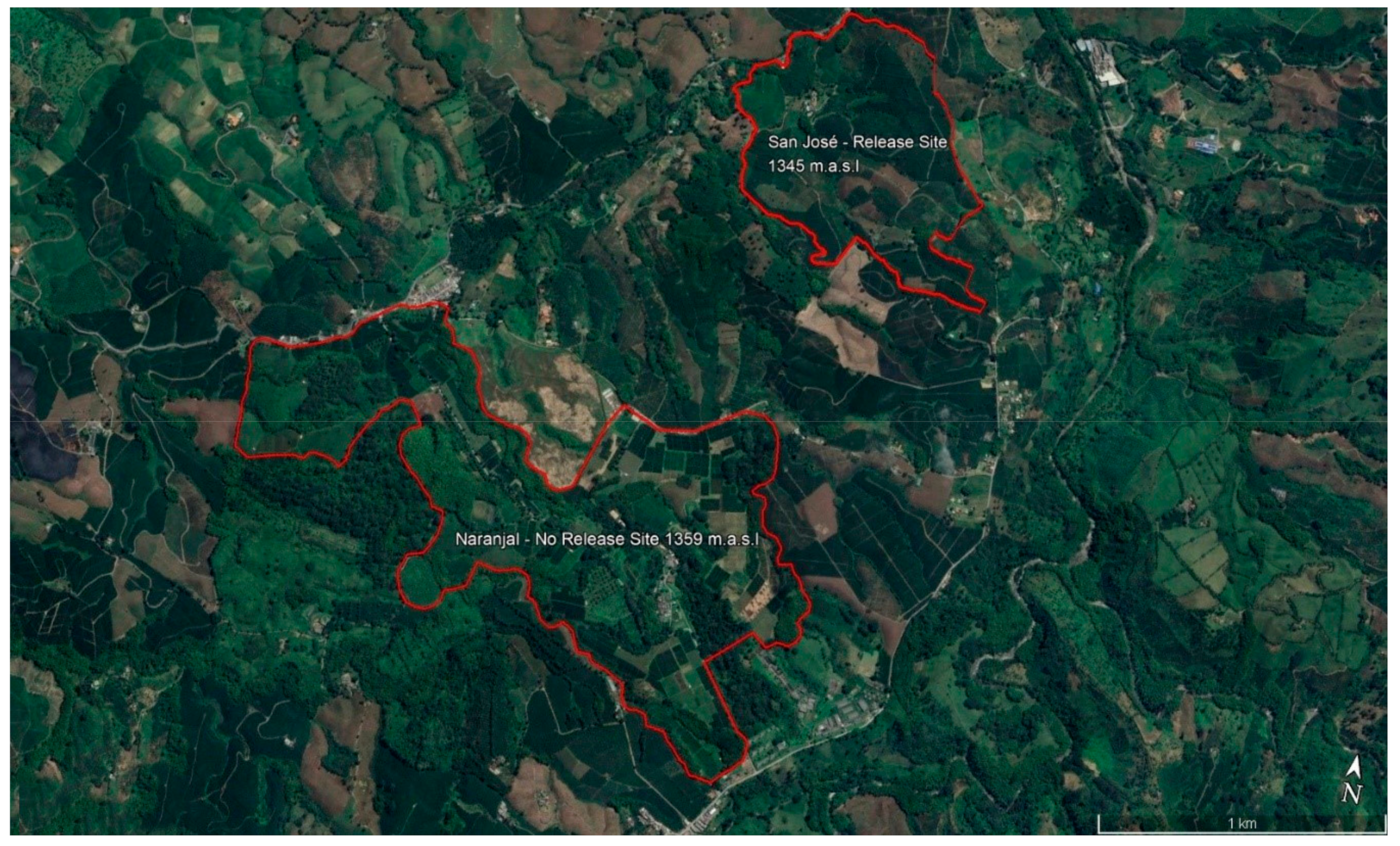 Insects 14 00865 g001