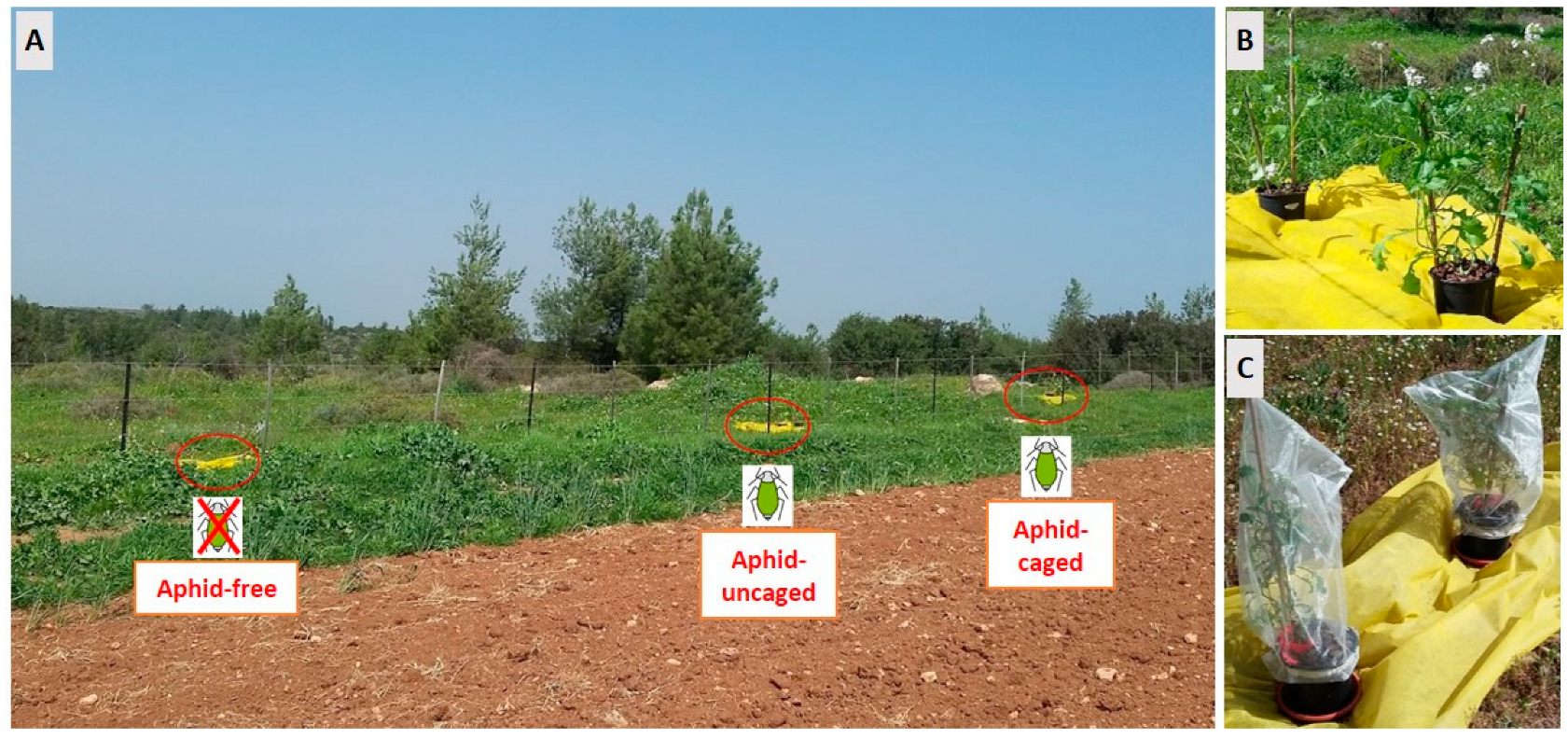 Insects 14 00872 g001