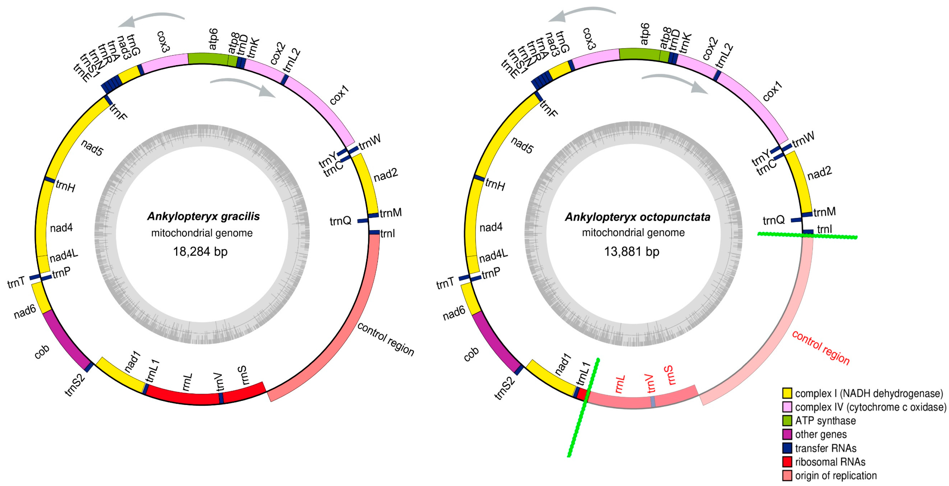 Insects 14 00878 g002 Insects 14 00878 g002