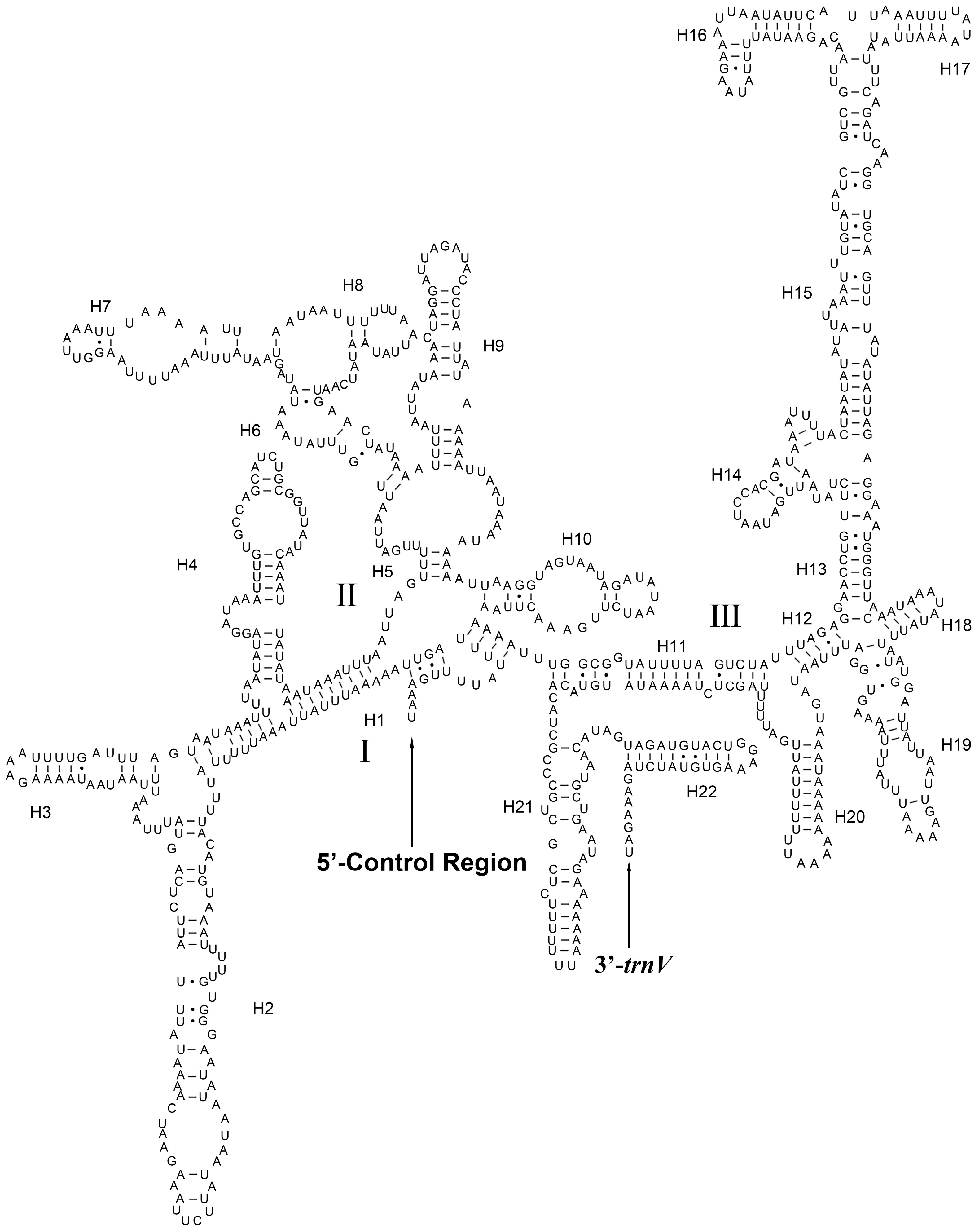 Insects 14 00878 g009 Insects 14 00878 g009
