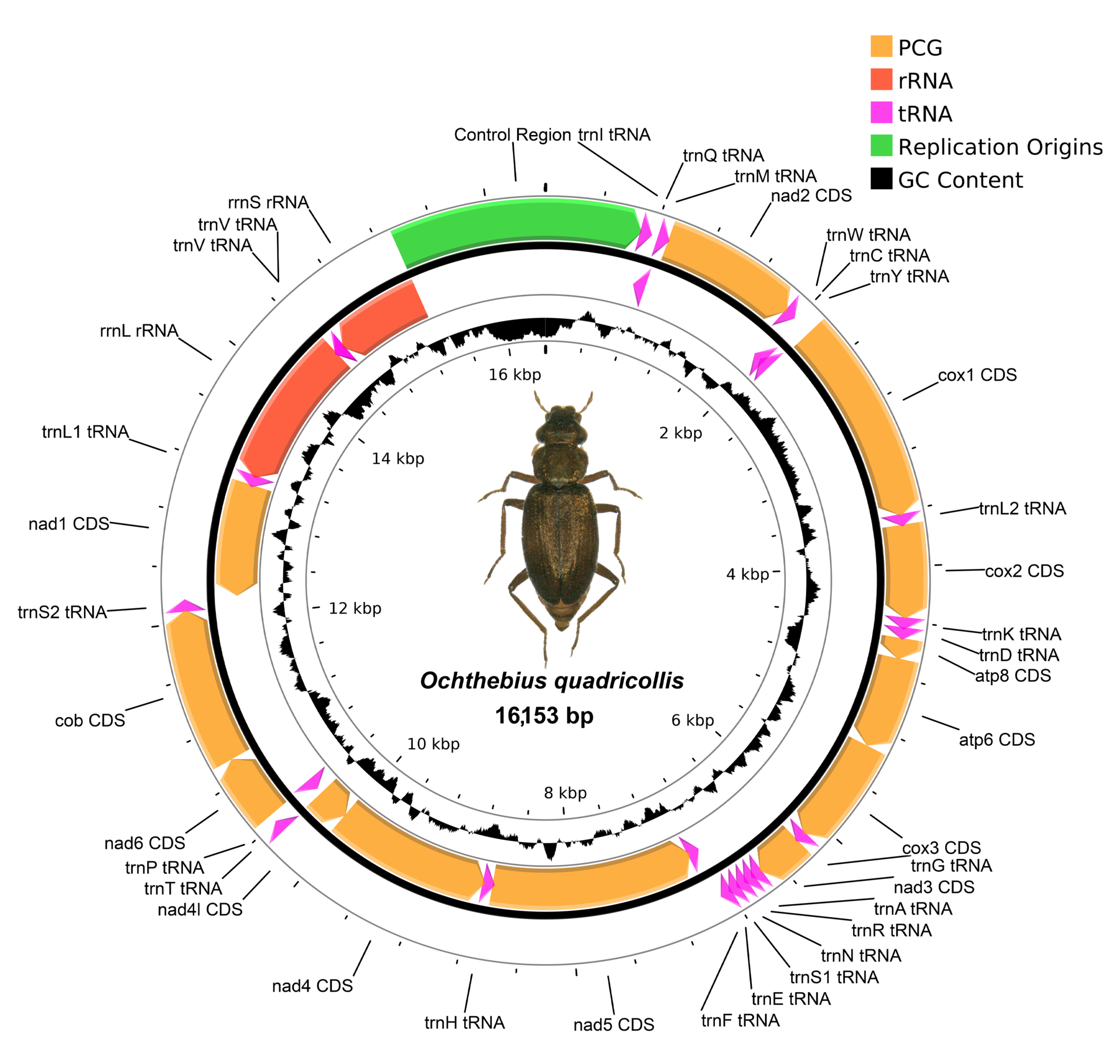 Insects 14 00881 g003