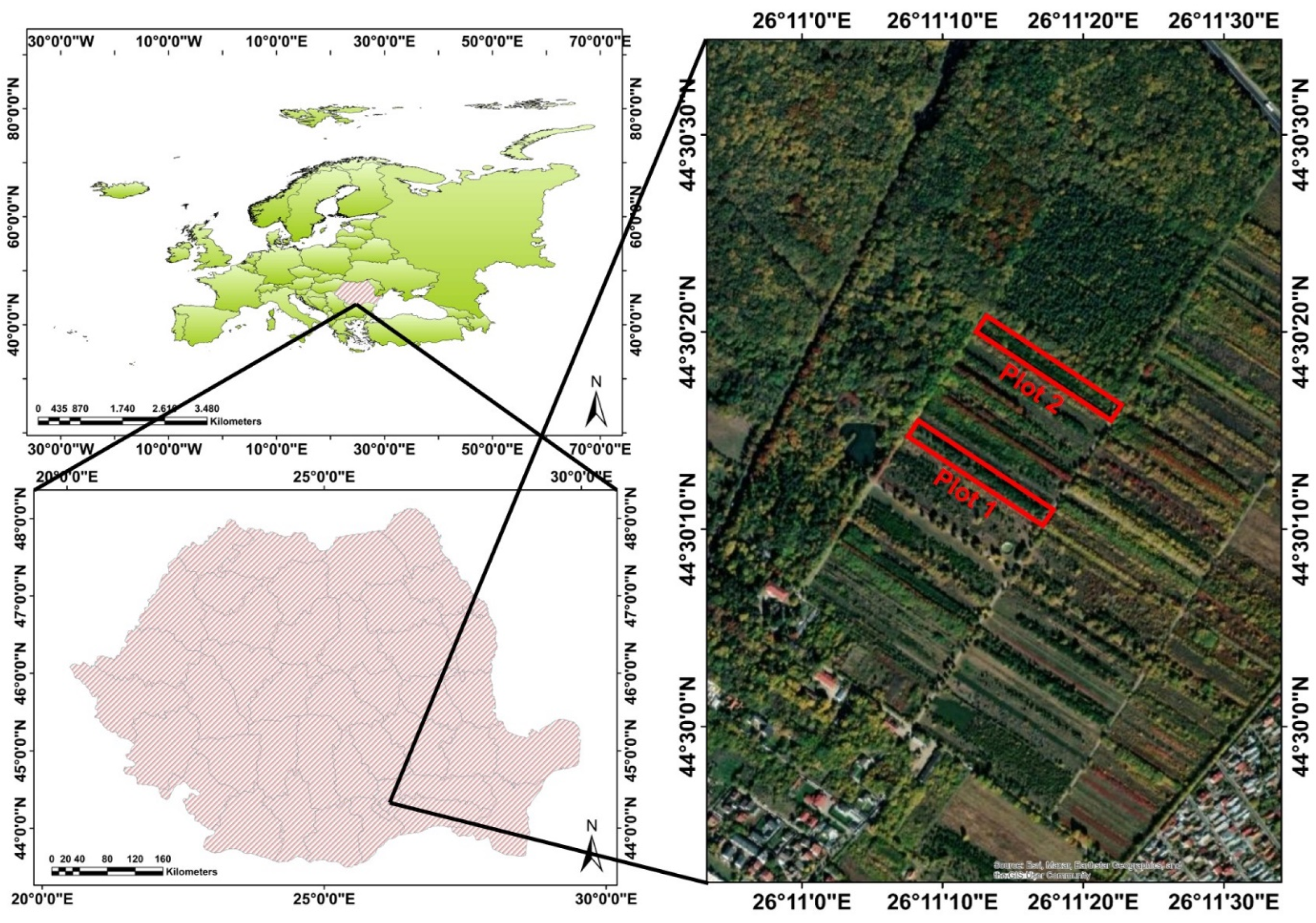 Insects 14 00882 g001