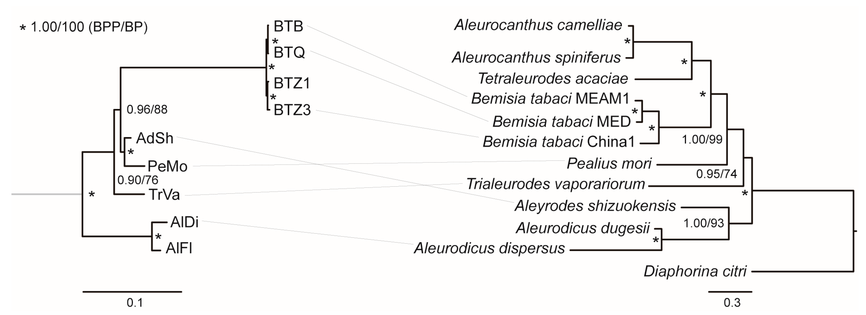Insects 14 00888 g003