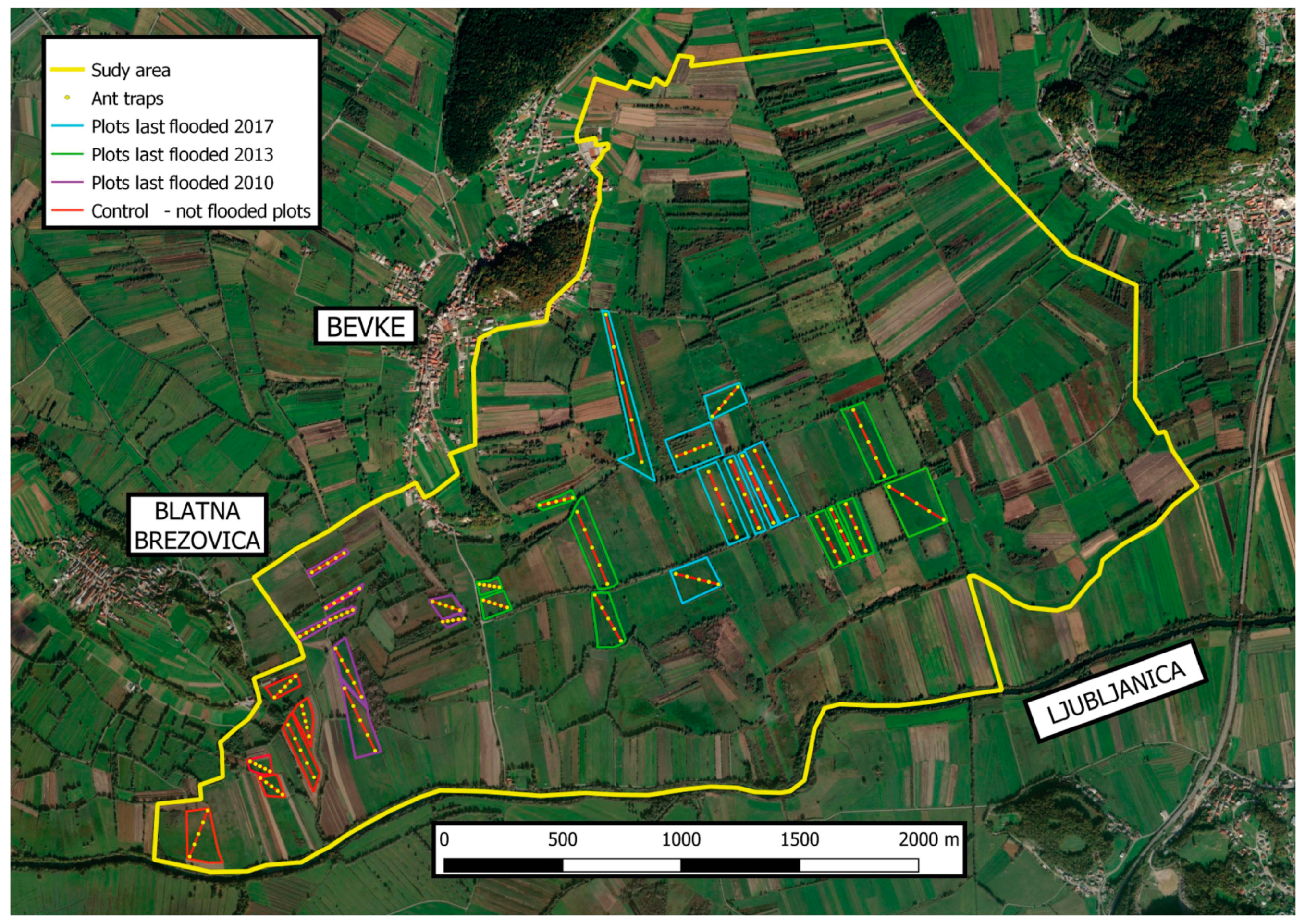 Insects 14 00891 g002