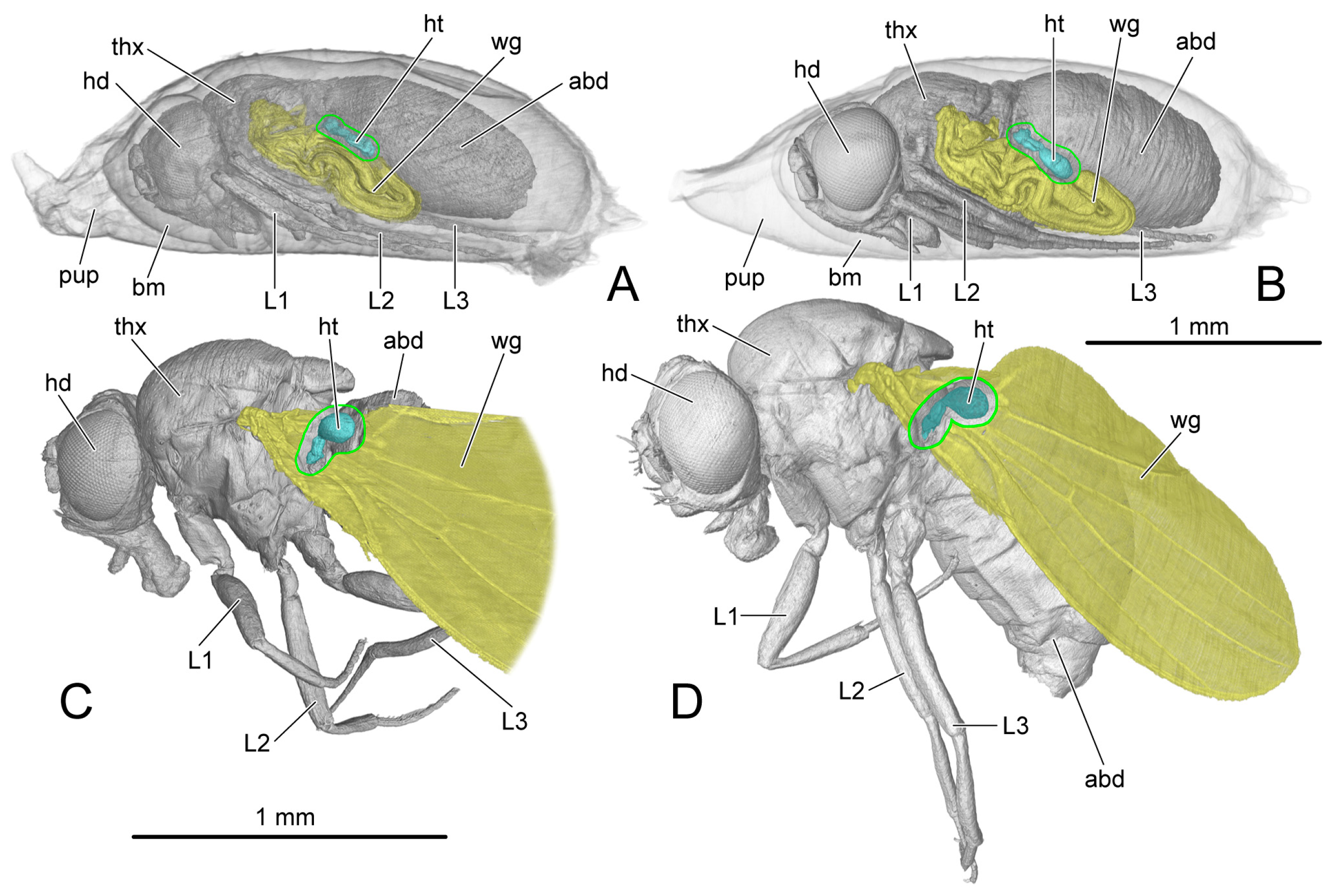 Insects 14 00893 g002