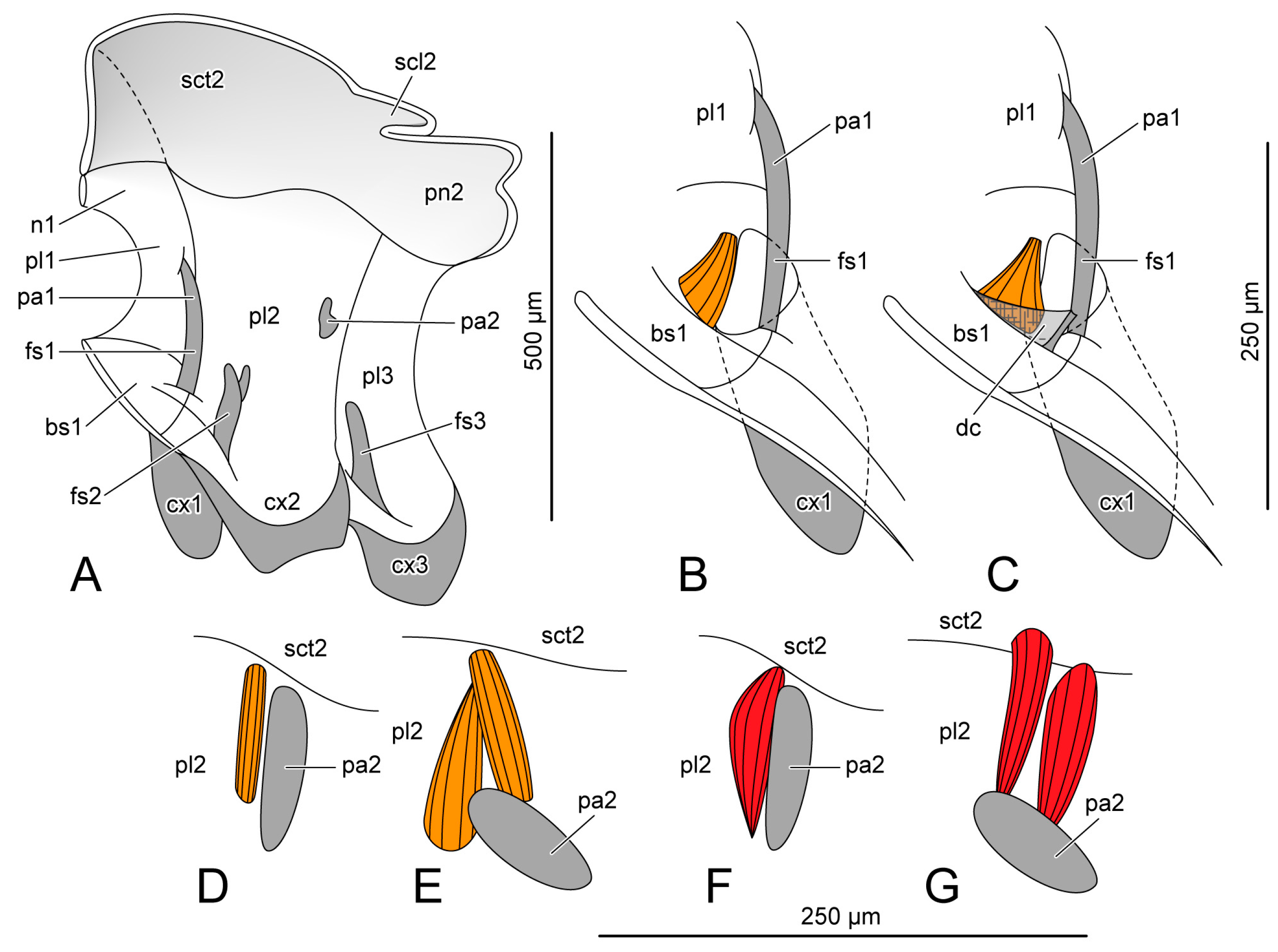 Insects 14 00893 g003