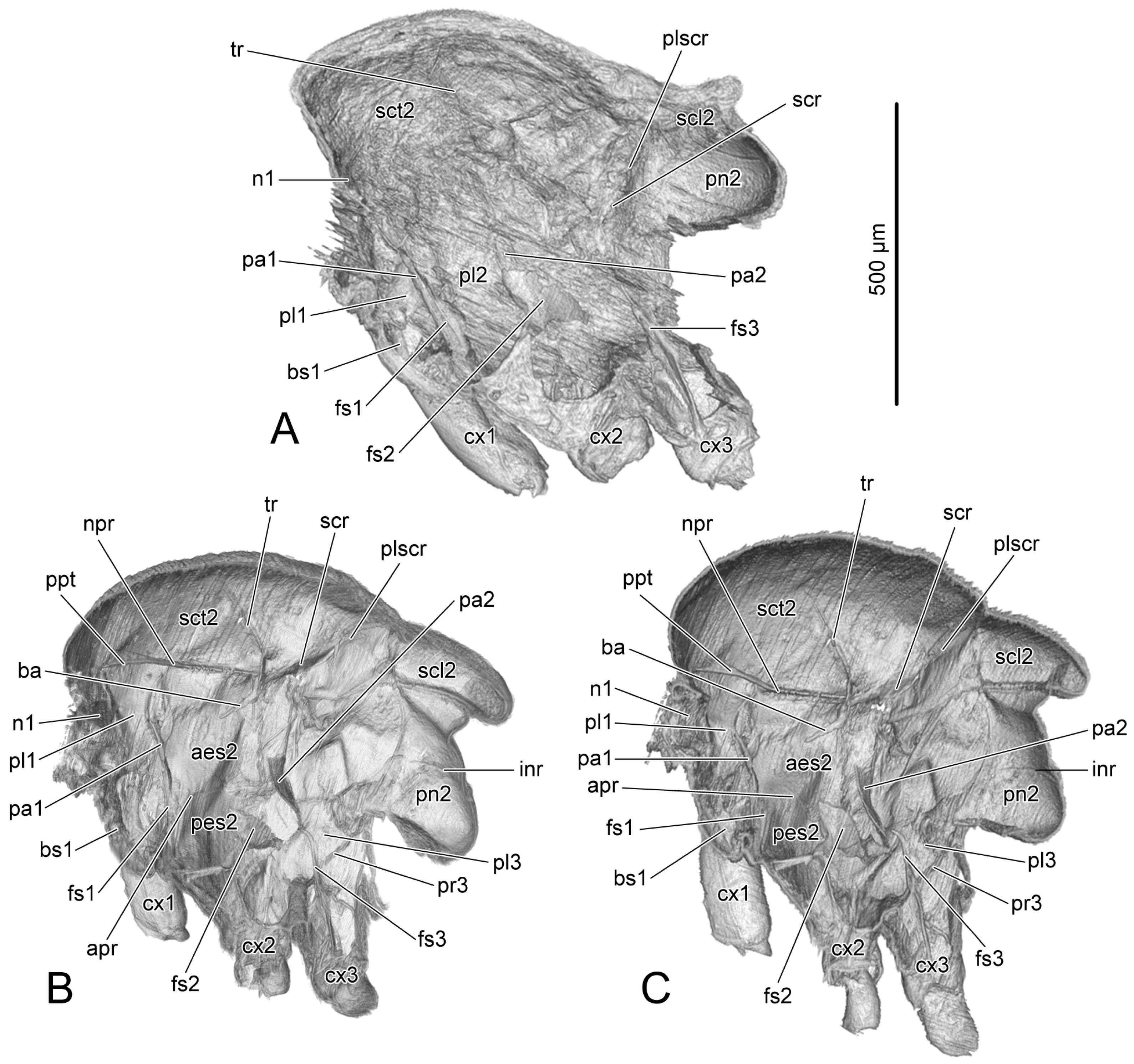 Insects 14 00893 g004