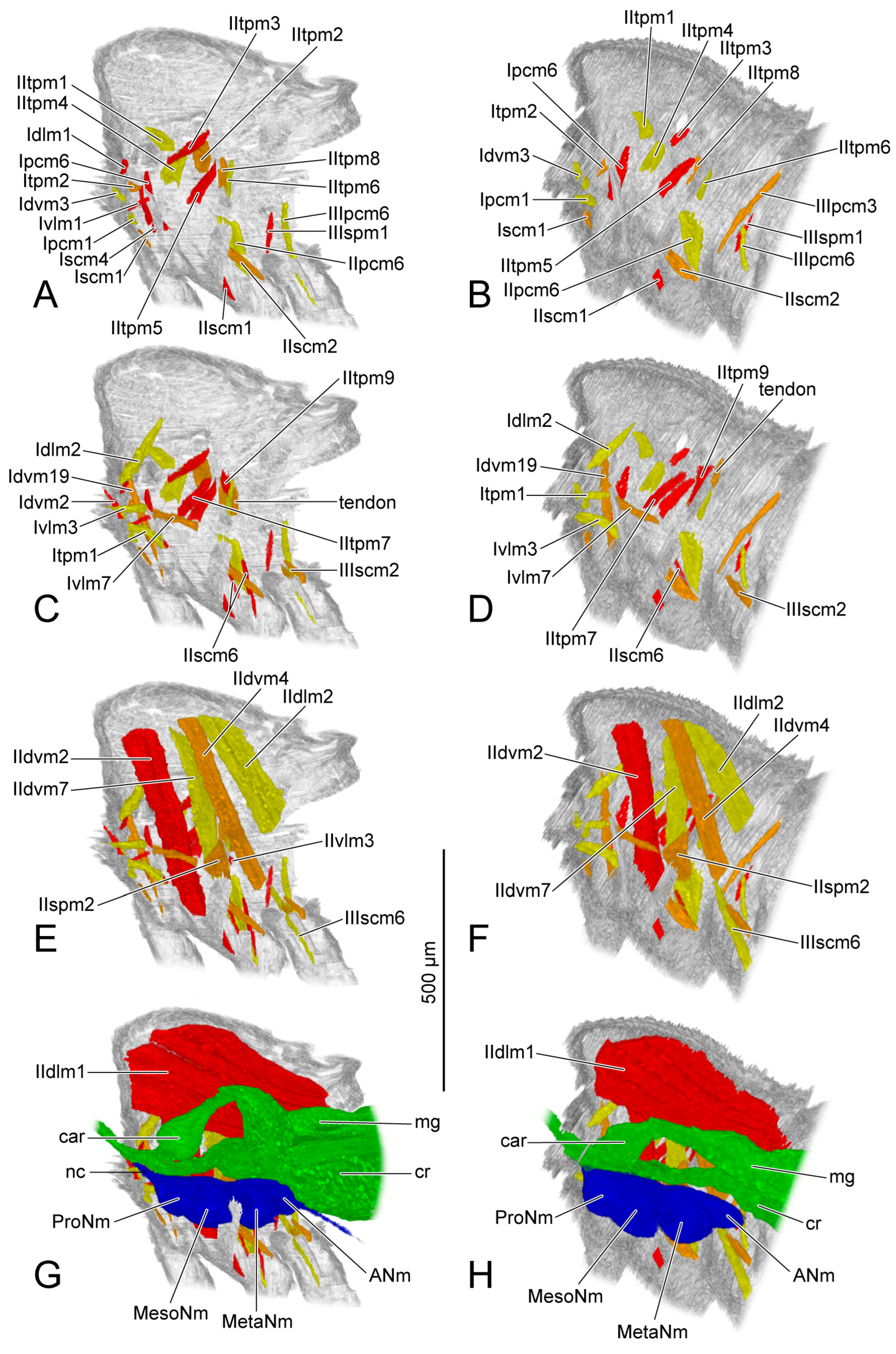 Insects 14 00893 g006