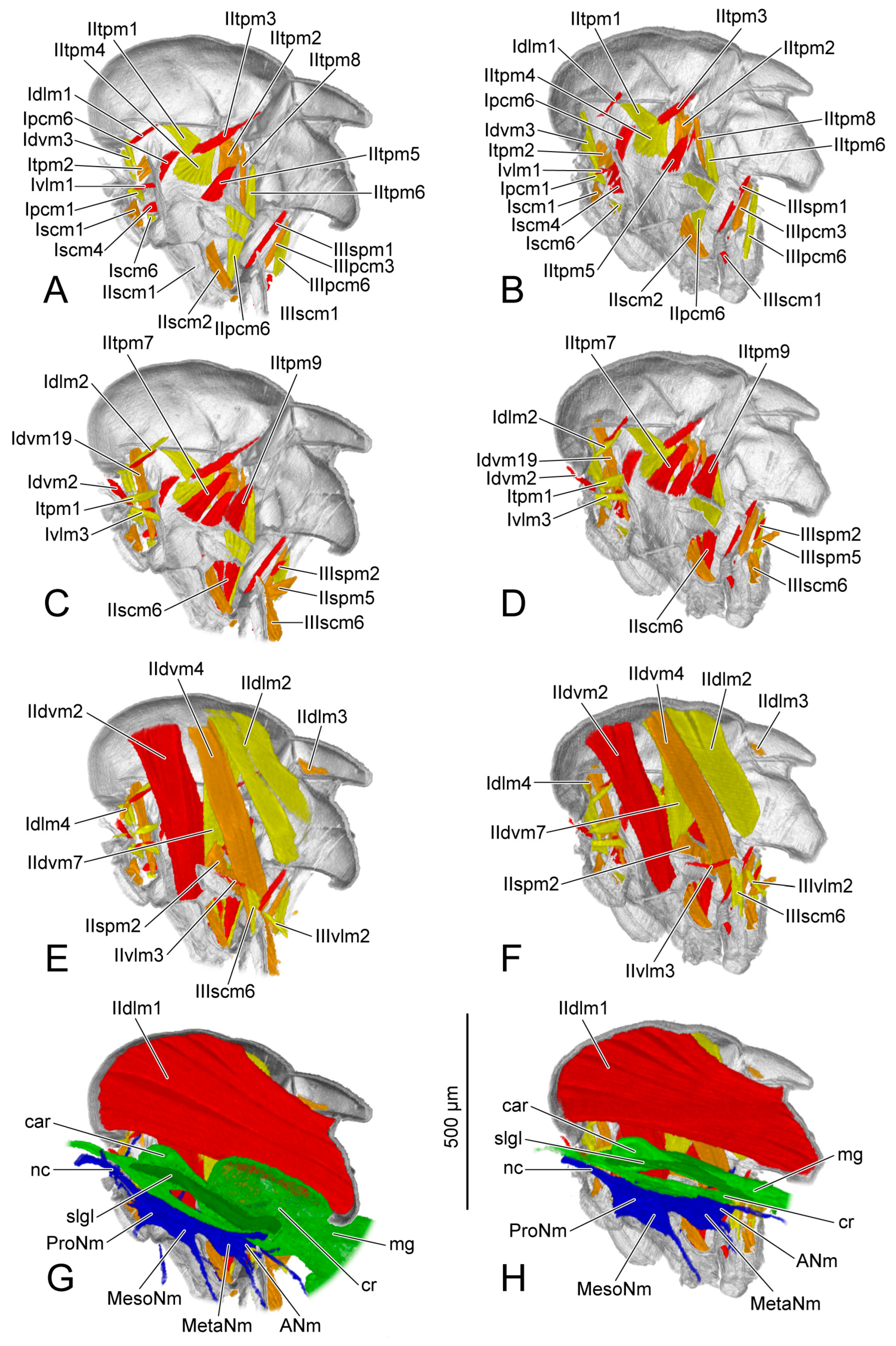 Insects 14 00893 g009