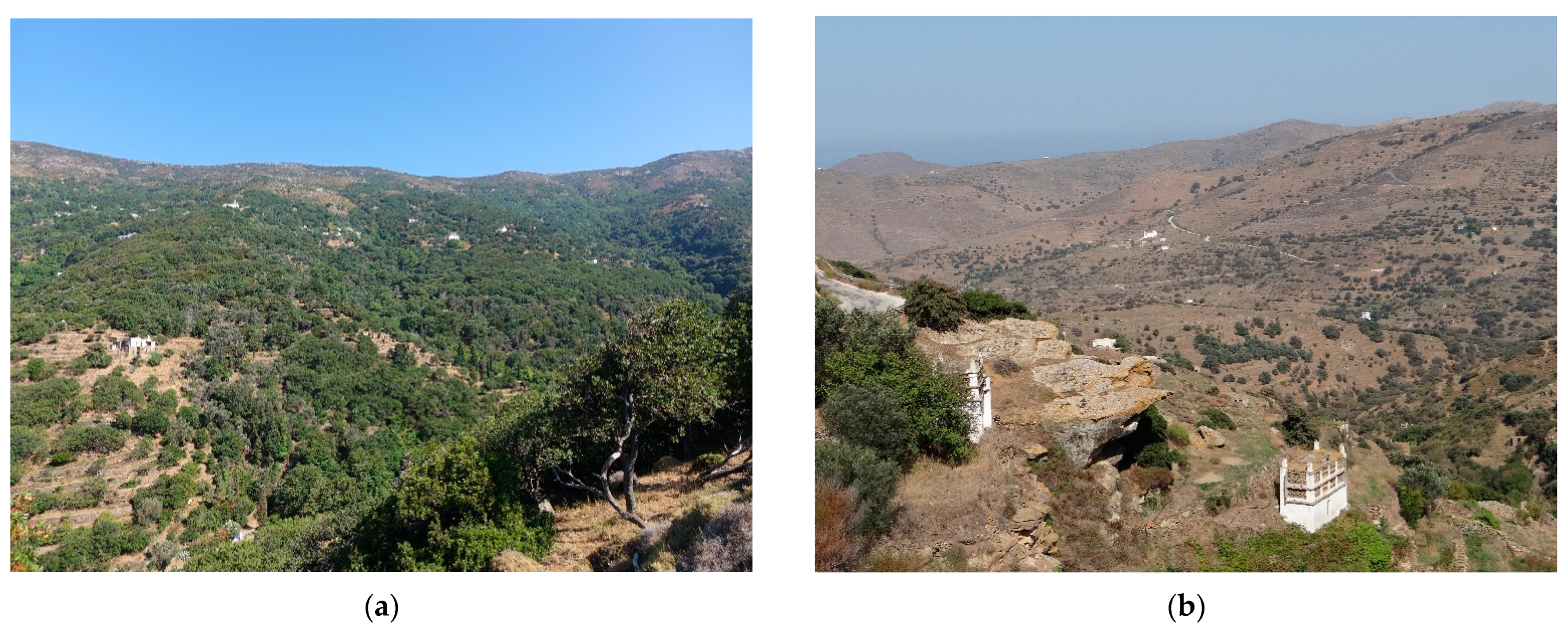 Insects 14 00896 g004