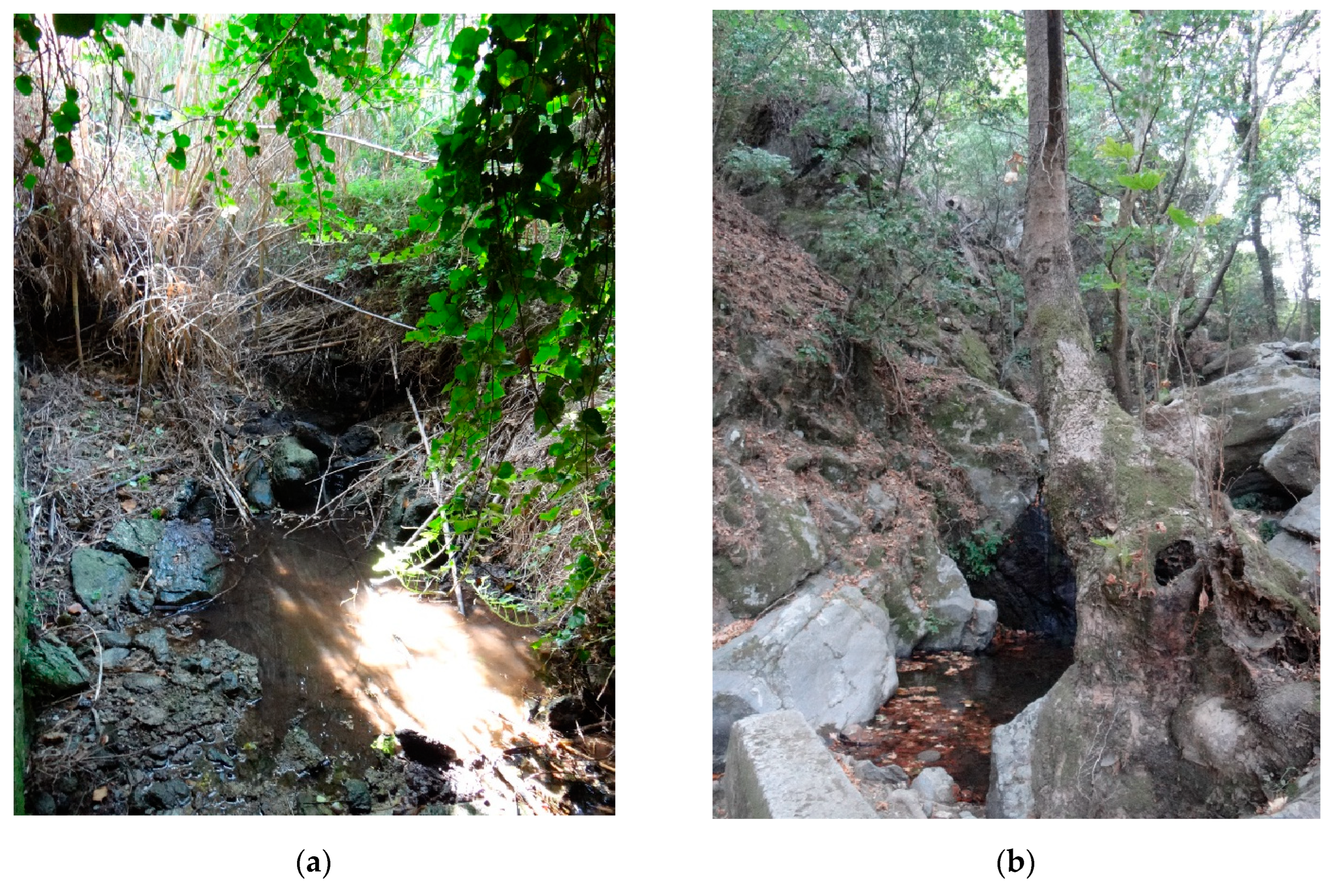 Insects 14 00896 g007