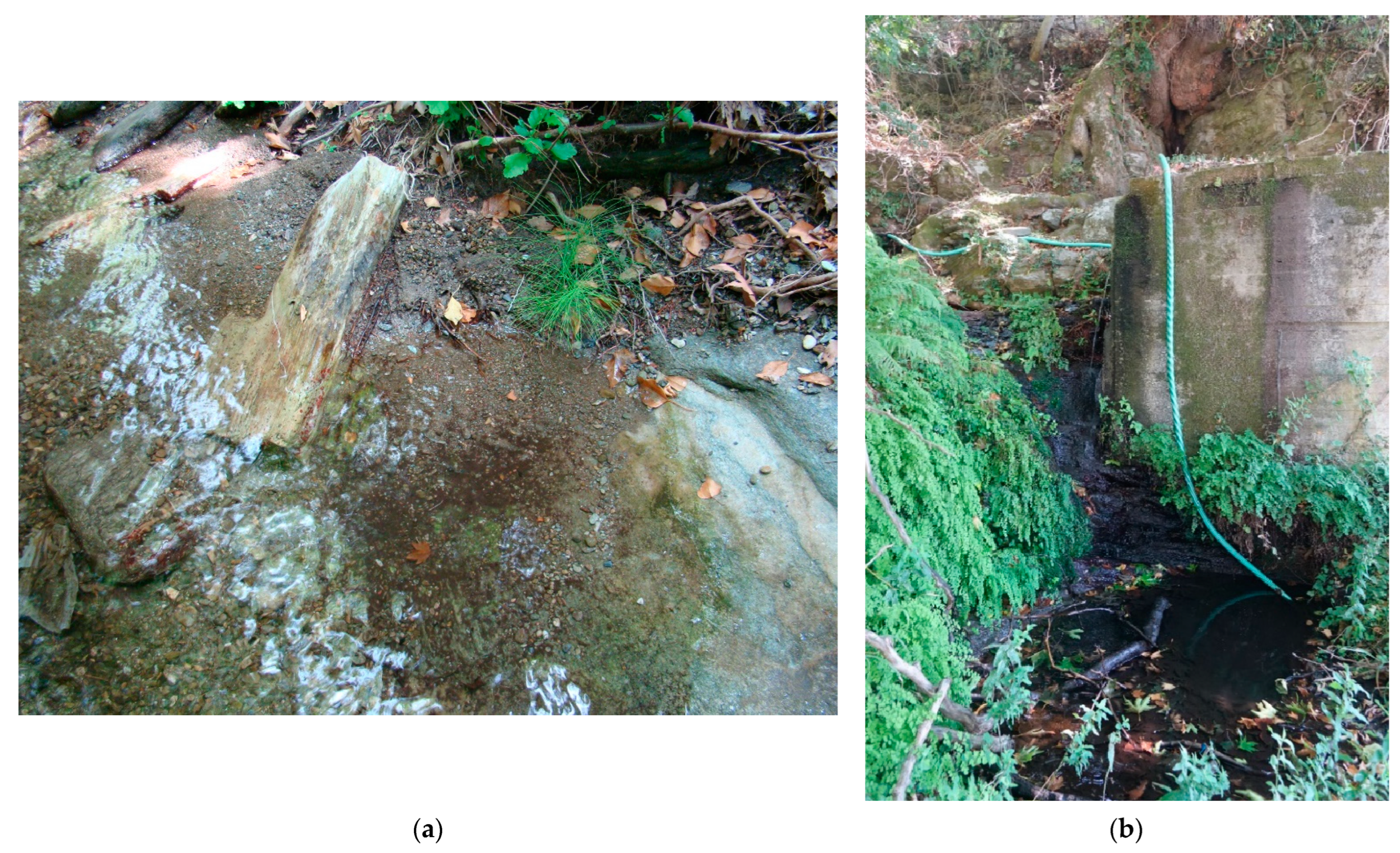 Insects 14 00896 g008