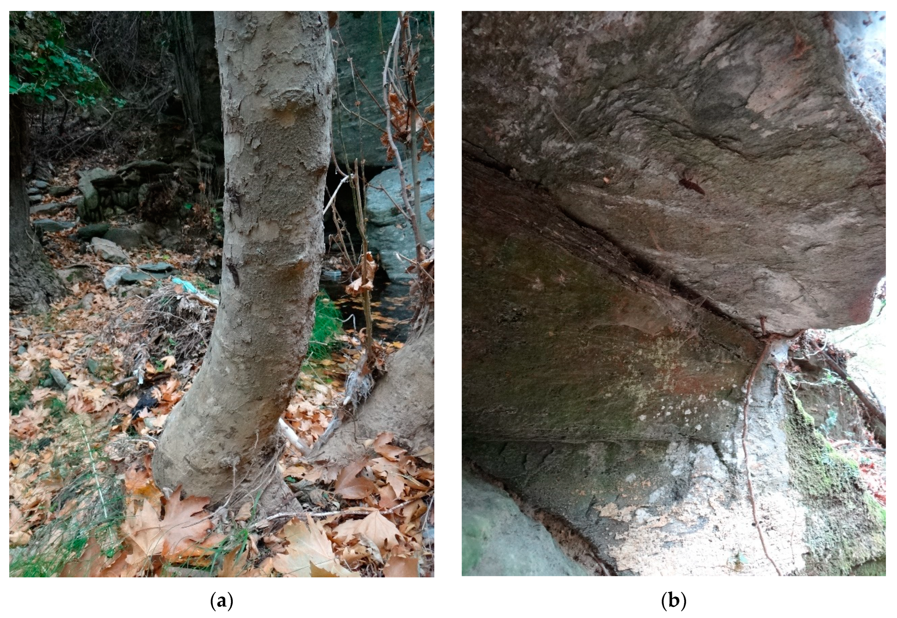 Insects 14 00896 g012