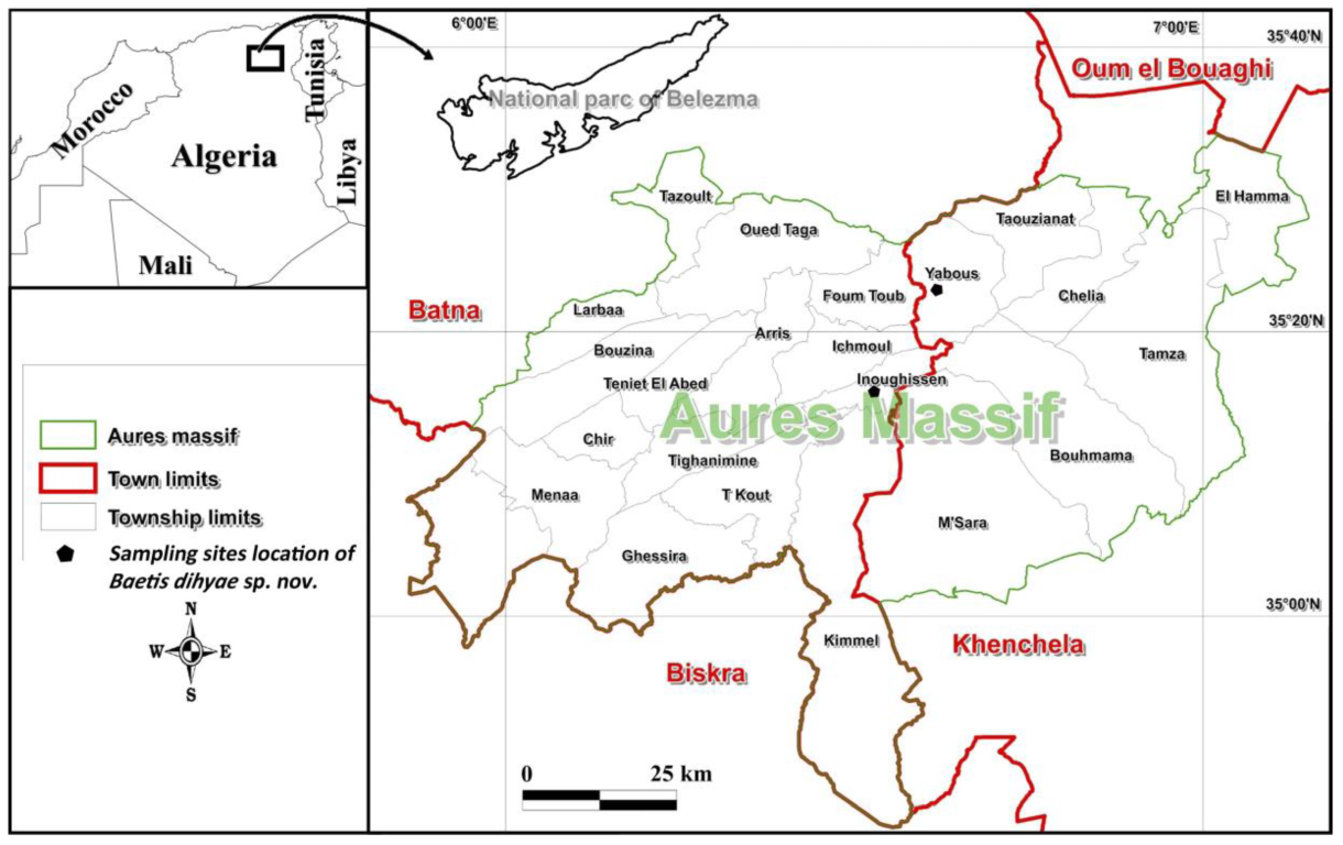 Insects 14 00899 g001 Insects 14 00899 g001