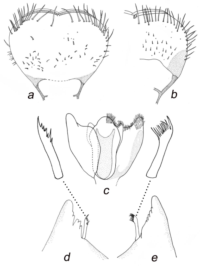 Insects 14 00899 g005 Insects 14 00899 g005