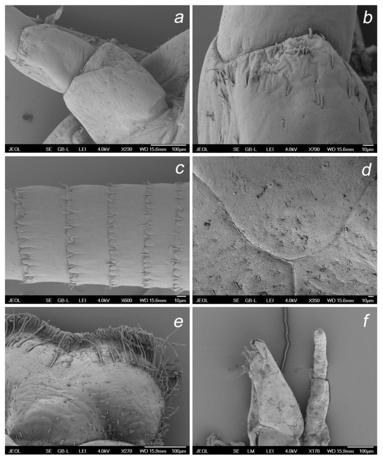 Insects 14 00899 g009 Insects 14 00899 g009