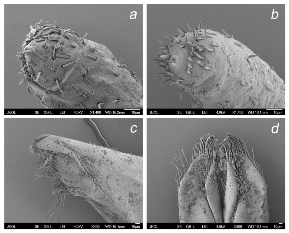 Insects 14 00899 g010 Insects 14 00899 g010