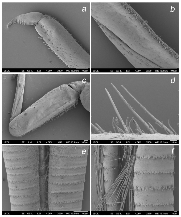 Insects 14 00899 g012 Insects 14 00899 g012