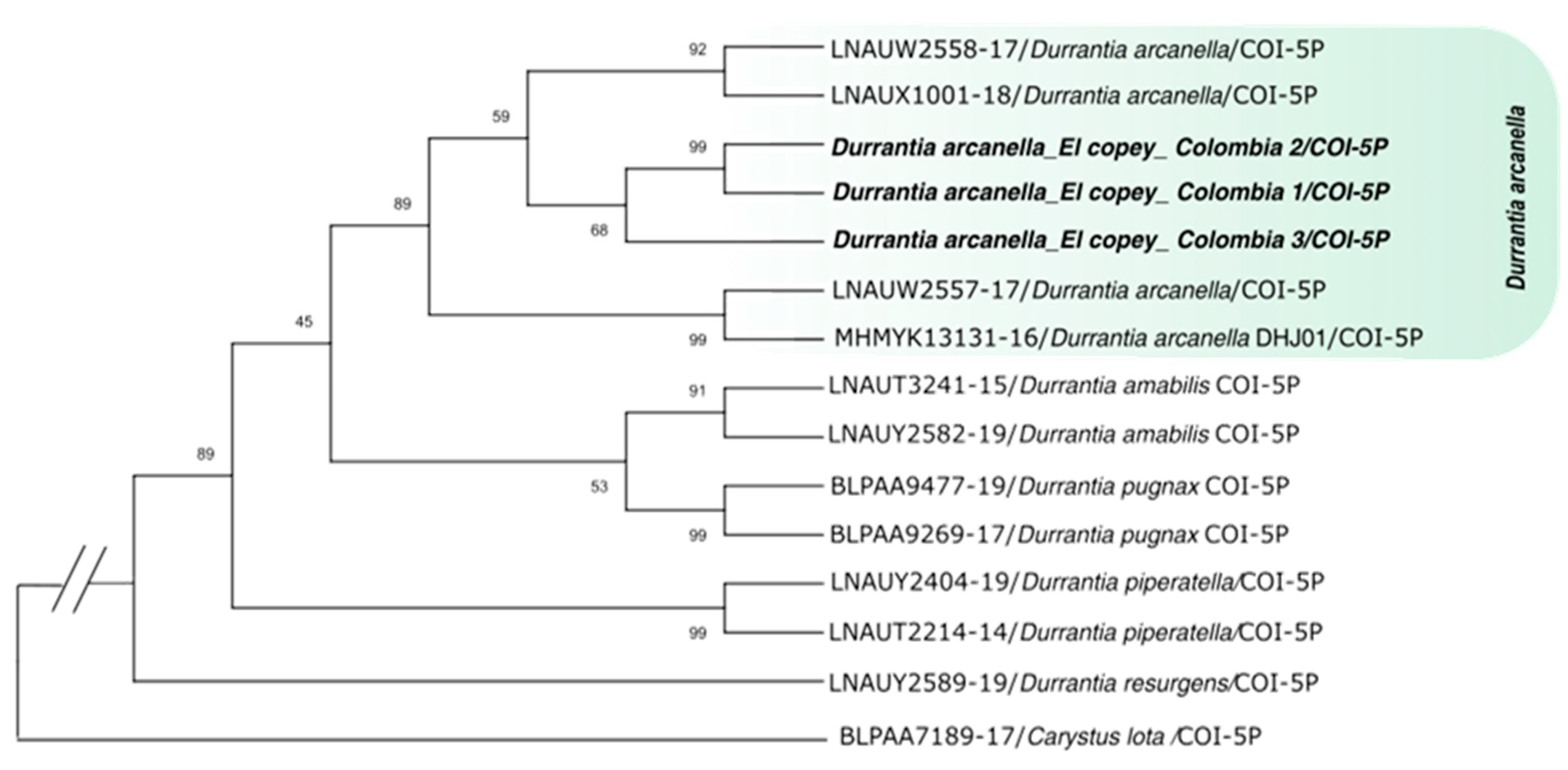 Insects 14 00900 g001